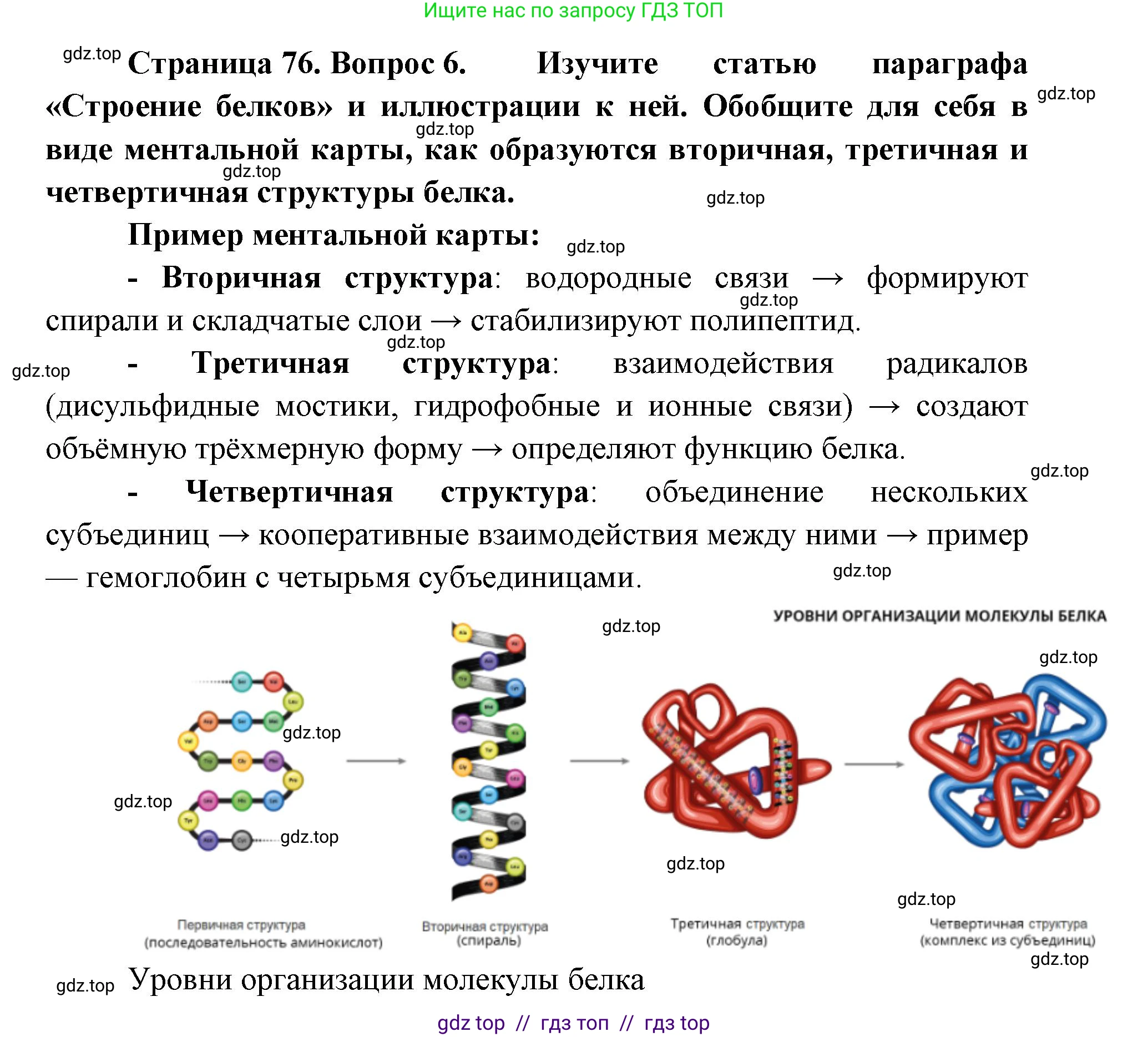 Биология, 10 класс Учебник, авторы: Пасечник Владимир Васильевич, Каменский Андрей Александрович, Рубцов Александр Михайлович, Швецов Глеб Геннадьевич, Абовян Леван Арташесович, Гапонюк Зоя Георгиевна, издательство Просвещение, Москва, 2024, коричневого цвета, Часть 1, страница 76, номер 6, Решение2