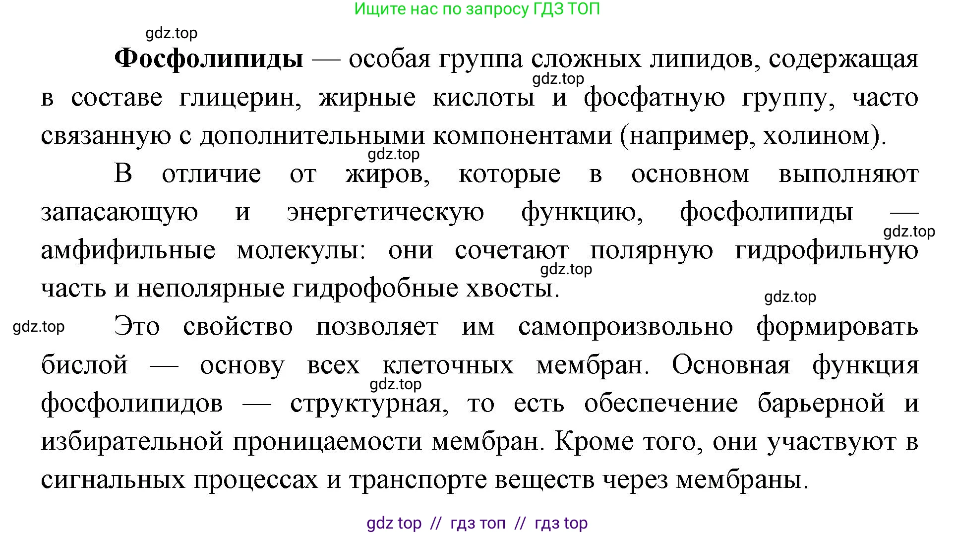 Биология, 10 класс Учебник, авторы: Пасечник Владимир Васильевич, Каменский Андрей Александрович, Рубцов Александр Михайлович, Швецов Глеб Геннадьевич, Абовян Леван Арташесович, Гапонюк Зоя Георгиевна, издательство Просвещение, Москва, 2024, коричневого цвета, Часть 1, страница 95, номер 3, Решение2 (продолжение 2)