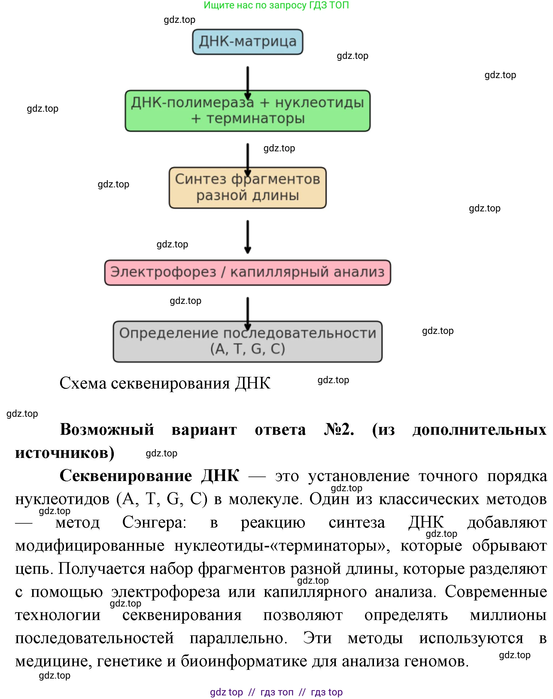 Биология, 10 класс Учебник, авторы: Пасечник Владимир Васильевич, Каменский Андрей Александрович, Рубцов Александр Михайлович, Швецов Глеб Геннадьевич, Абовян Леван Арташесович, Гапонюк Зоя Георгиевна, издательство Просвещение, Москва, 2024, коричневого цвета, Часть 1, страница 109, номер 3, Решение2 (продолжение 2)