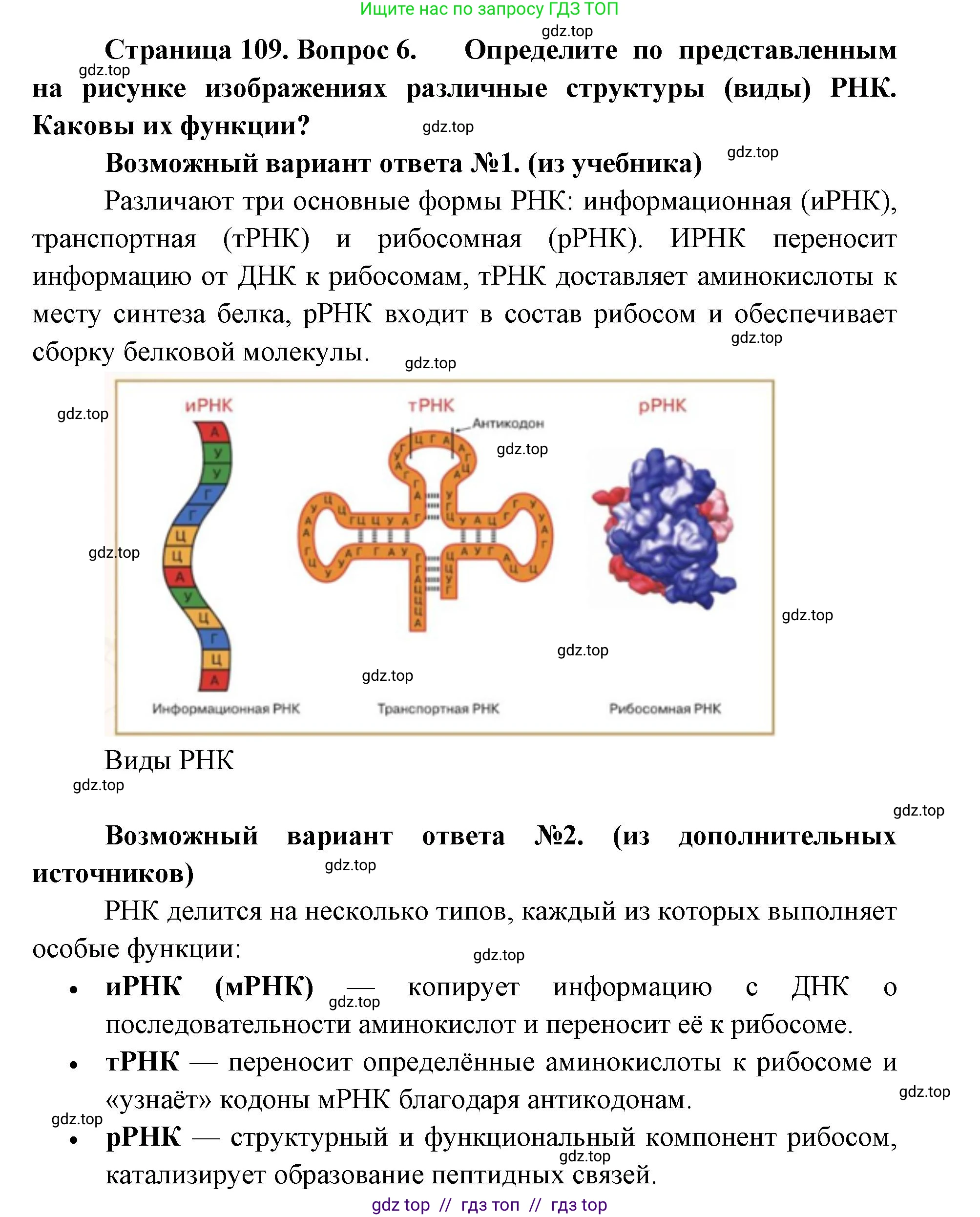 Биология, 10 класс Учебник, авторы: Пасечник Владимир Васильевич, Каменский Андрей Александрович, Рубцов Александр Михайлович, Швецов Глеб Геннадьевич, Абовян Леван Арташесович, Гапонюк Зоя Георгиевна, издательство Просвещение, Москва, 2024, коричневого цвета, Часть 1, страница 109, номер 6, Решение2