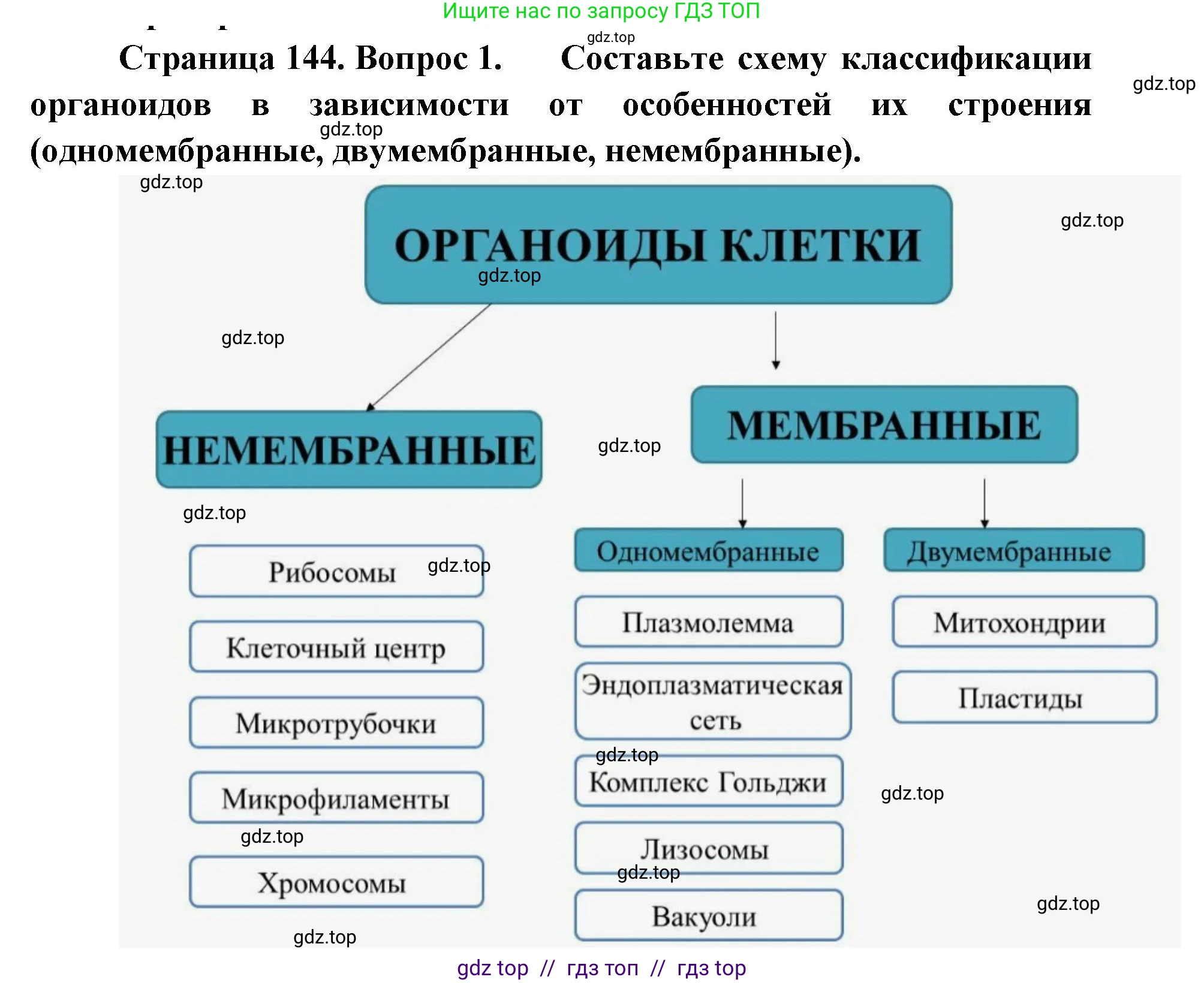 Биология, 10 класс Учебник, авторы: Пасечник Владимир Васильевич, Каменский Андрей Александрович, Рубцов Александр Михайлович, Швецов Глеб Геннадьевич, Абовян Леван Арташесович, Гапонюк Зоя Георгиевна, издательство Просвещение, Москва, 2024, коричневого цвета, Часть 1, страница 144, номер 1, Решение2
