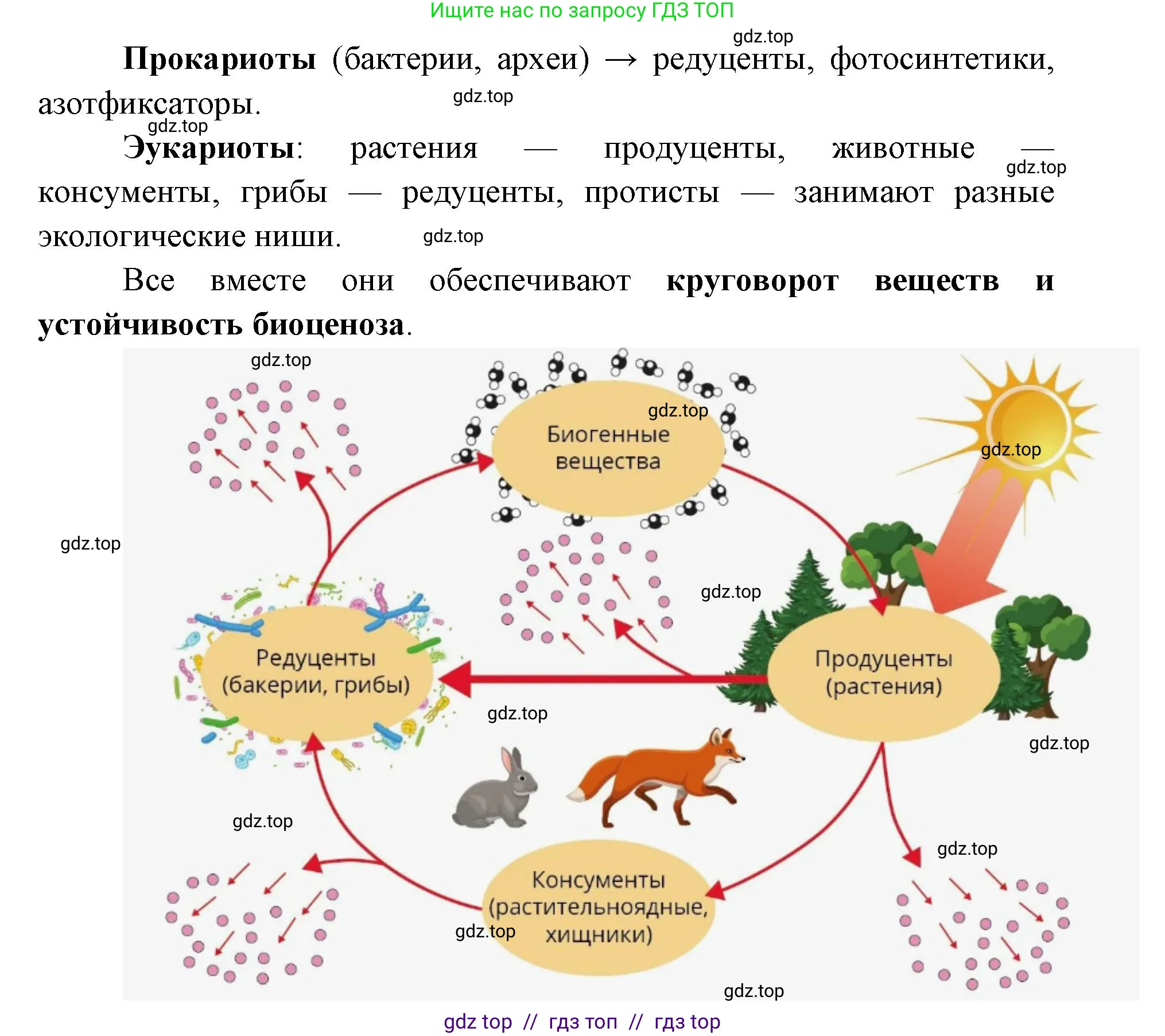 Биология, 10 класс Учебник, авторы: Пасечник Владимир Васильевич, Каменский Андрей Александрович, Рубцов Александр Михайлович, Швецов Глеб Геннадьевич, Абовян Леван Арташесович, Гапонюк Зоя Георгиевна, издательство Просвещение, Москва, 2024, коричневого цвета, Часть 1, страница 161, номер 3, Решение2 (продолжение 2)
