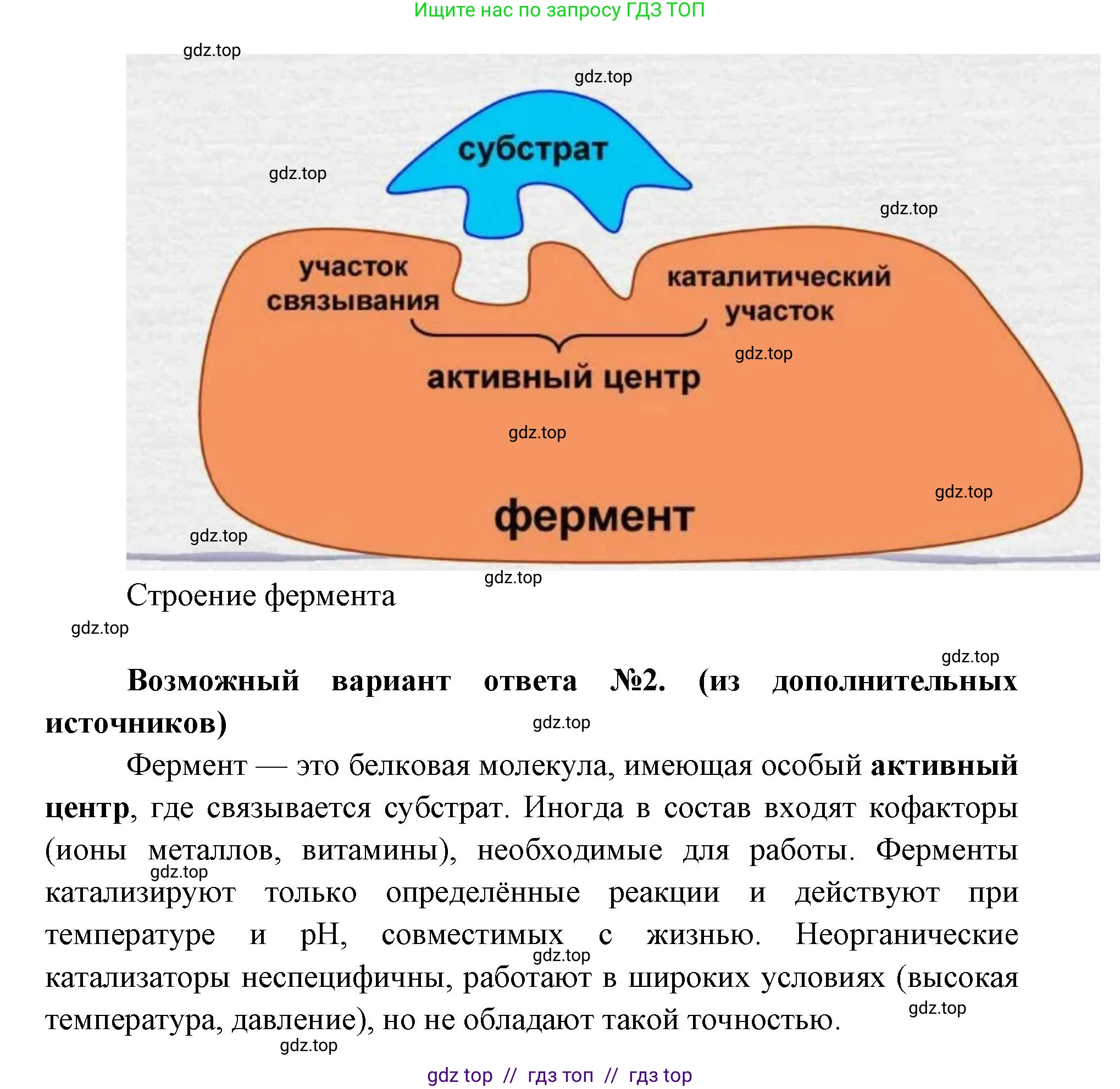 Биология, 10 класс Учебник, авторы: Пасечник Владимир Васильевич, Каменский Андрей Александрович, Рубцов Александр Михайлович, Швецов Глеб Геннадьевич, Абовян Леван Арташесович, Гапонюк Зоя Георгиевна, издательство Просвещение, Москва, 2024, коричневого цвета, Часть 1, страница 167, номер 7, Решение2 (продолжение 2)