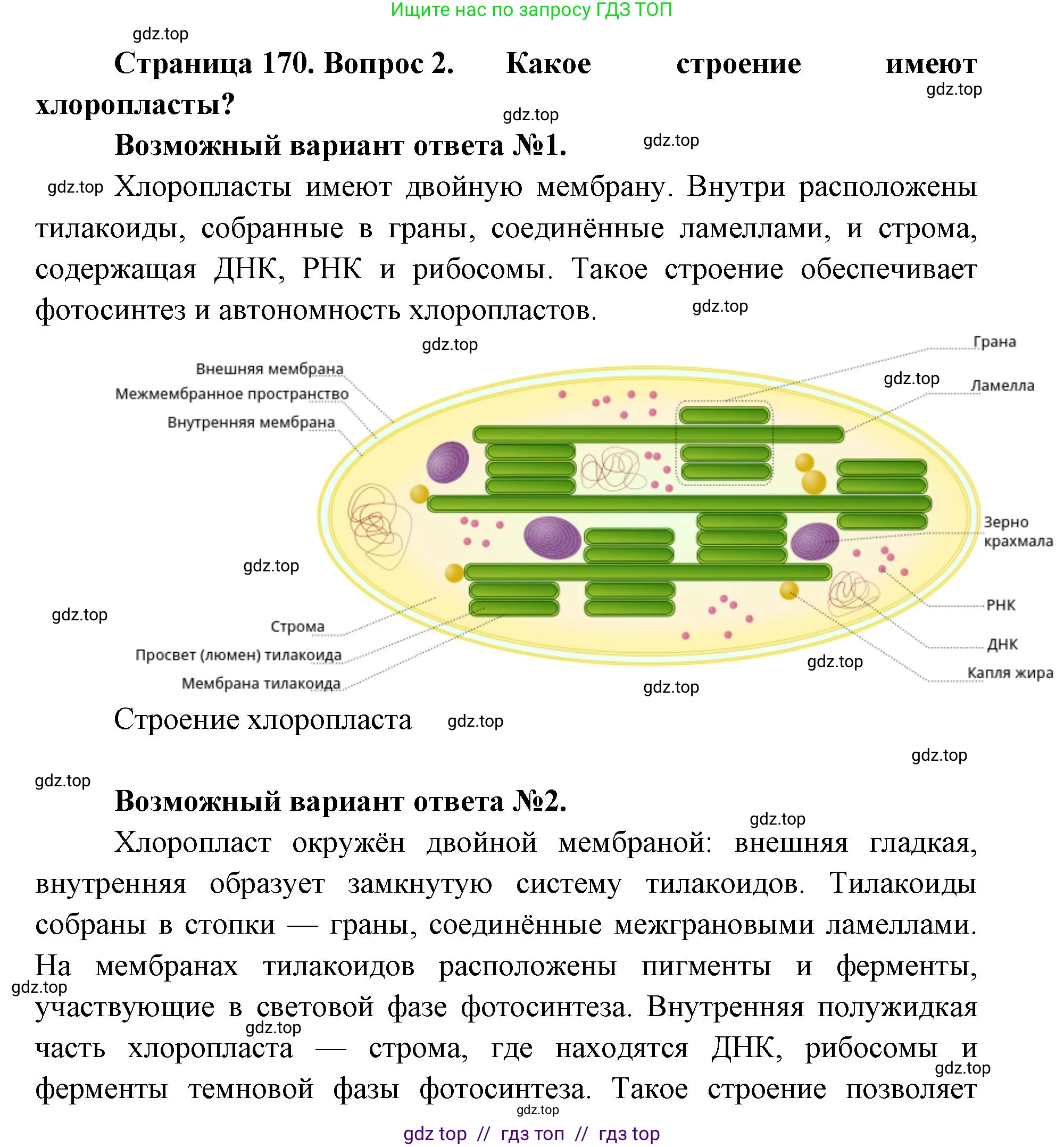 Биология, 10 класс Учебник, авторы: Пасечник Владимир Васильевич, Каменский Андрей Александрович, Рубцов Александр Михайлович, Швецов Глеб Геннадьевич, Абовян Леван Арташесович, Гапонюк Зоя Георгиевна, издательство Просвещение, Москва, 2024, коричневого цвета, Часть 1, страница 170, номер 2, Решение2