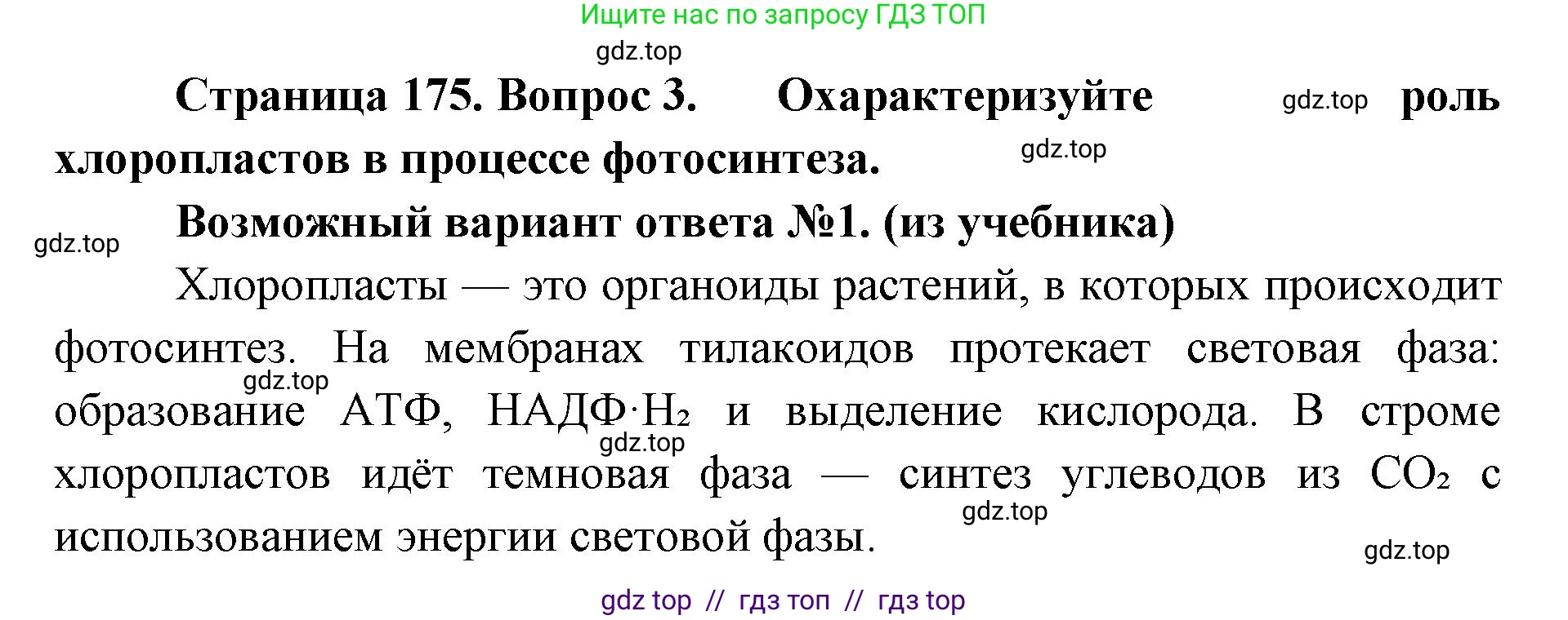 Биология, 10 класс Учебник, авторы: Пасечник Владимир Васильевич, Каменский Андрей Александрович, Рубцов Александр Михайлович, Швецов Глеб Геннадьевич, Абовян Леван Арташесович, Гапонюк Зоя Георгиевна, издательство Просвещение, Москва, 2024, коричневого цвета, Часть 1, страница 175, номер 3, Решение2