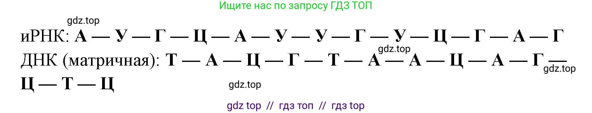 Биология, 10 класс Учебник, авторы: Пасечник Владимир Васильевич, Каменский Андрей Александрович, Рубцов Александр Михайлович, Швецов Глеб Геннадьевич, Абовян Леван Арташесович, Гапонюк Зоя Георгиевна, издательство Просвещение, Москва, 2024, коричневого цвета, Часть 1, страница 210, номер 1, Решение2 (продолжение 2)