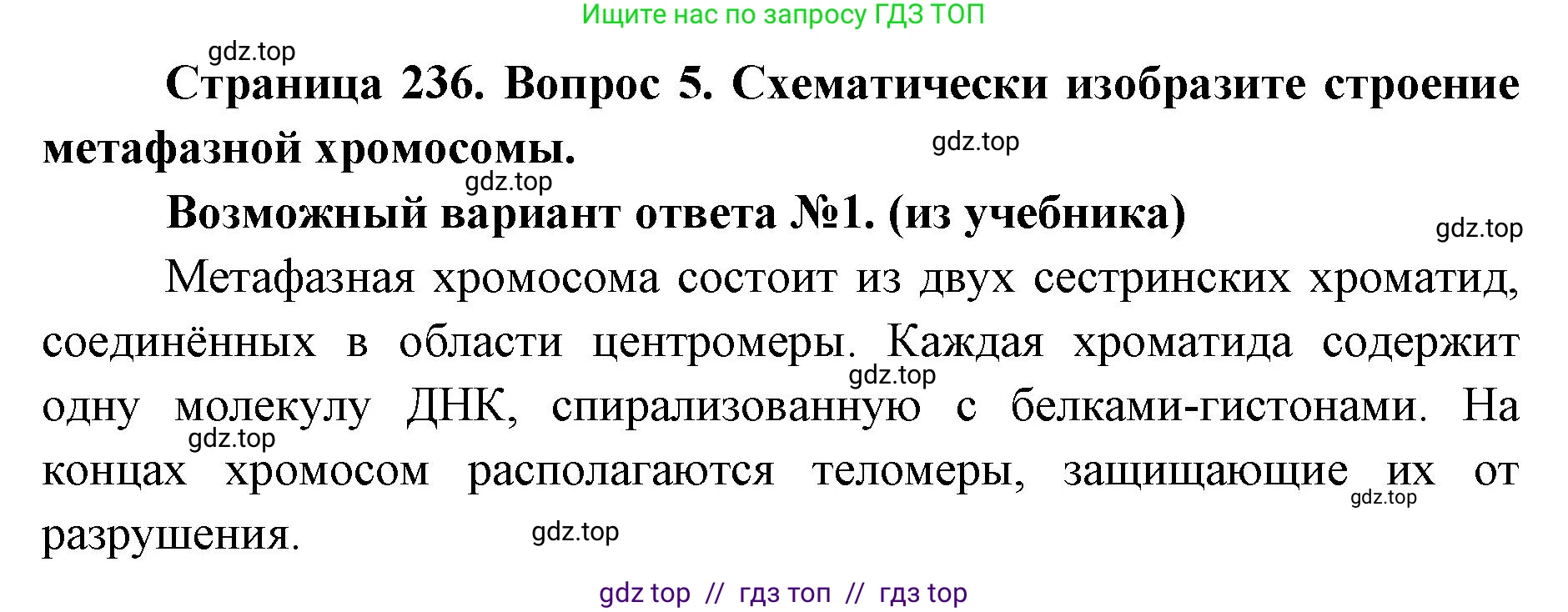 Биология, 10 класс Учебник, авторы: Пасечник Владимир Васильевич, Каменский Андрей Александрович, Рубцов Александр Михайлович, Швецов Глеб Геннадьевич, Абовян Леван Арташесович, Гапонюк Зоя Георгиевна, издательство Просвещение, Москва, 2024, коричневого цвета, Часть 1, страница 236, номер 5, Решение2