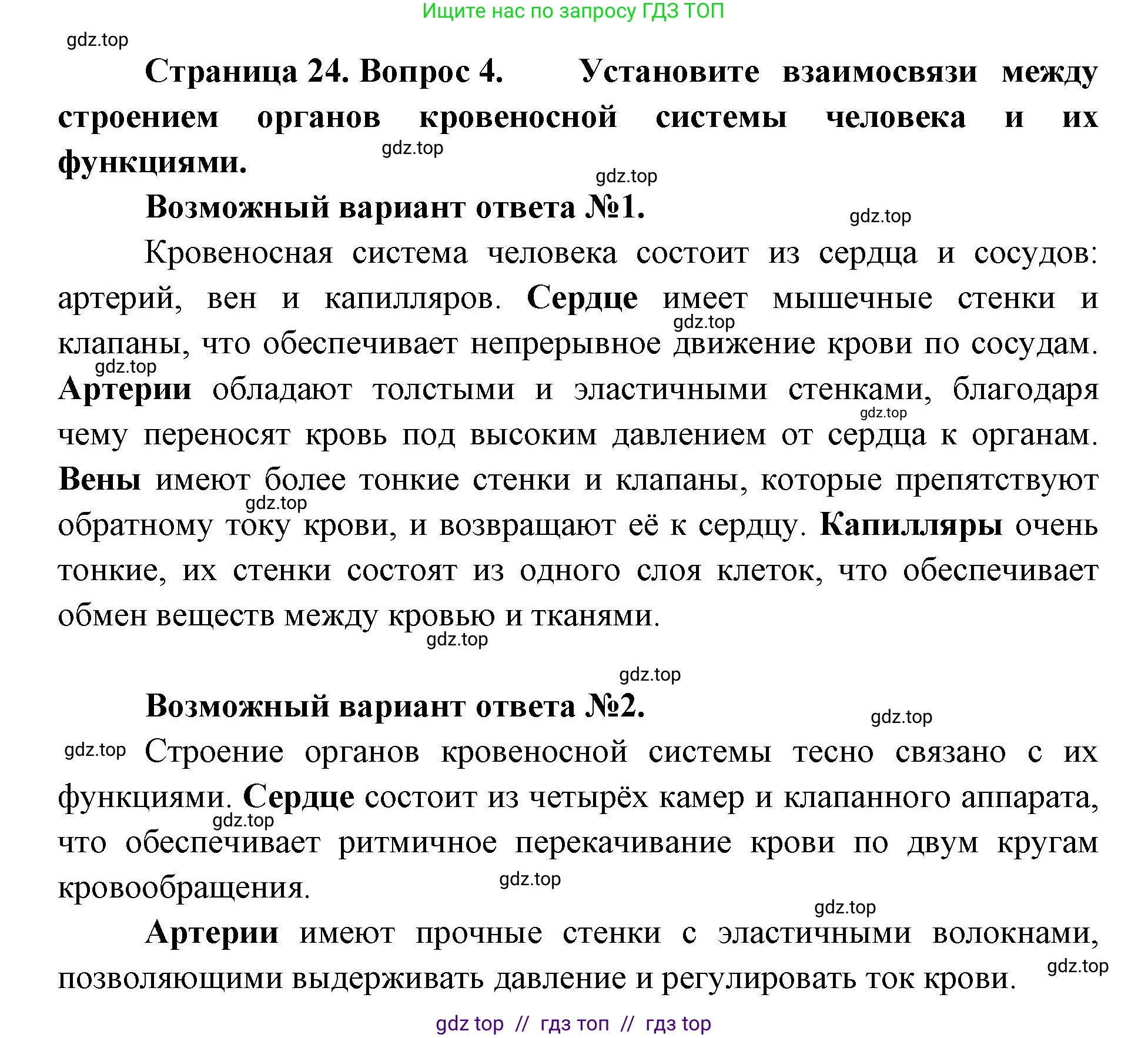 Биология, 10 класс Учебник, авторы: Пасечник Владимир Васильевич, Каменский Андрей Александрович, Рубцов Александр Михайлович, Швецов Глеб Геннадьевич, Абовян Леван Арташесович, Гапонюк Зоя Георгиевна, издательство Просвещение, Москва, 2024, коричневого цвета, Часть 2, страница 24, номер 4, Решение2