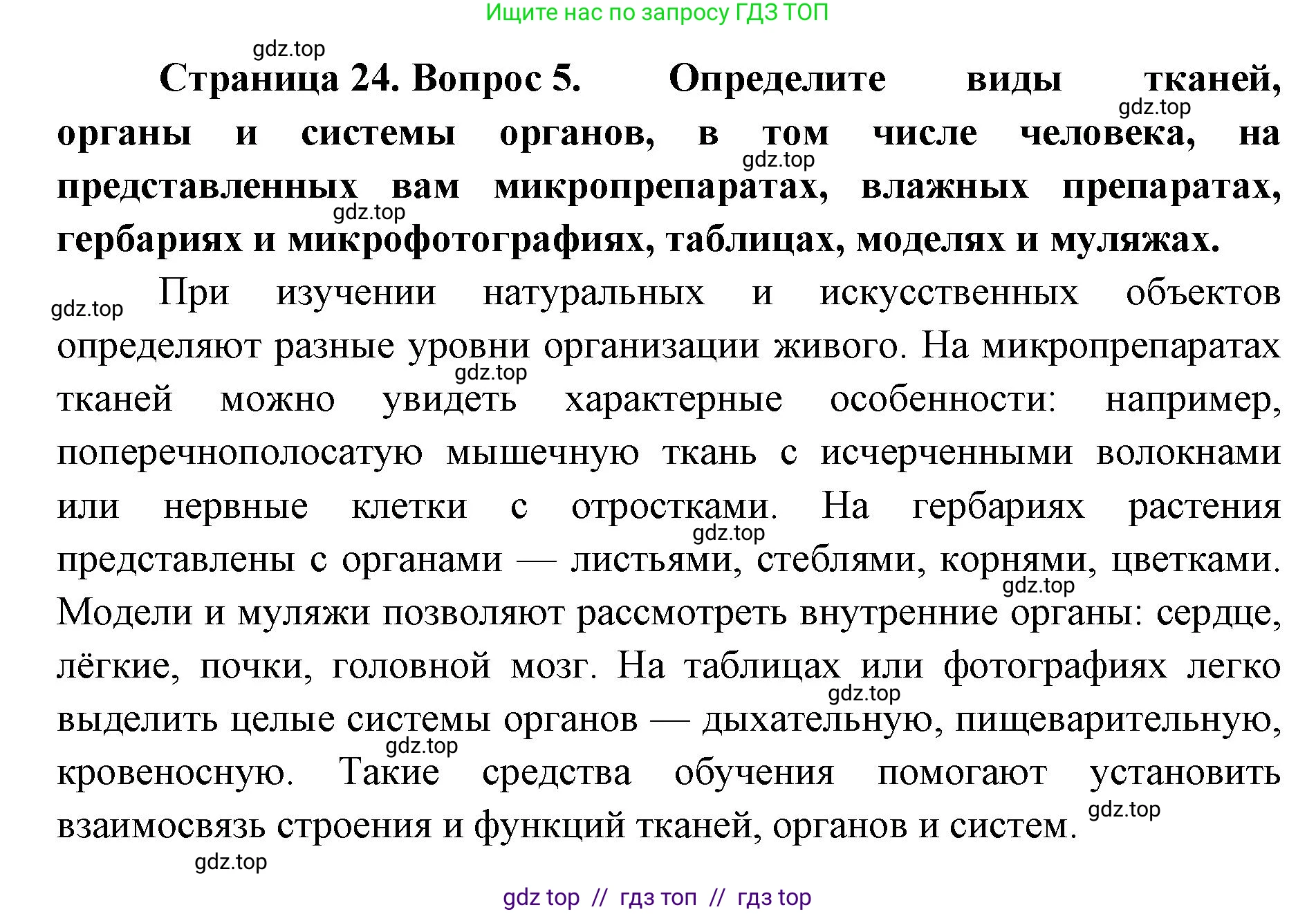 Биология, 10 класс Учебник, авторы: Пасечник Владимир Васильевич, Каменский Андрей Александрович, Рубцов Александр Михайлович, Швецов Глеб Геннадьевич, Абовян Леван Арташесович, Гапонюк Зоя Георгиевна, издательство Просвещение, Москва, 2024, коричневого цвета, Часть 2, страница 24, номер 5, Решение2