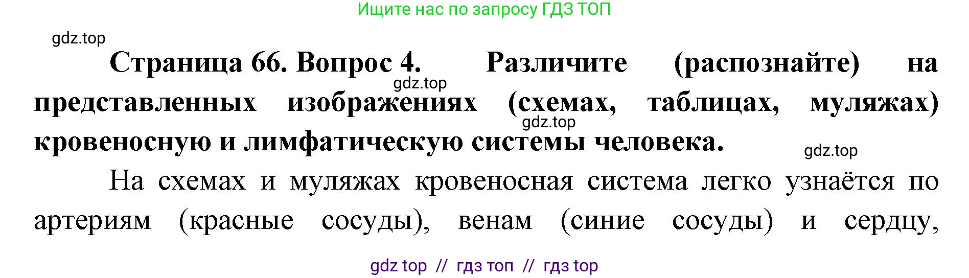 Биология, 10 класс Учебник, авторы: Пасечник Владимир Васильевич, Каменский Андрей Александрович, Рубцов Александр Михайлович, Швецов Глеб Геннадьевич, Абовян Леван Арташесович, Гапонюк Зоя Георгиевна, издательство Просвещение, Москва, 2024, коричневого цвета, Часть 2, страница 66, номер 4, Решение2