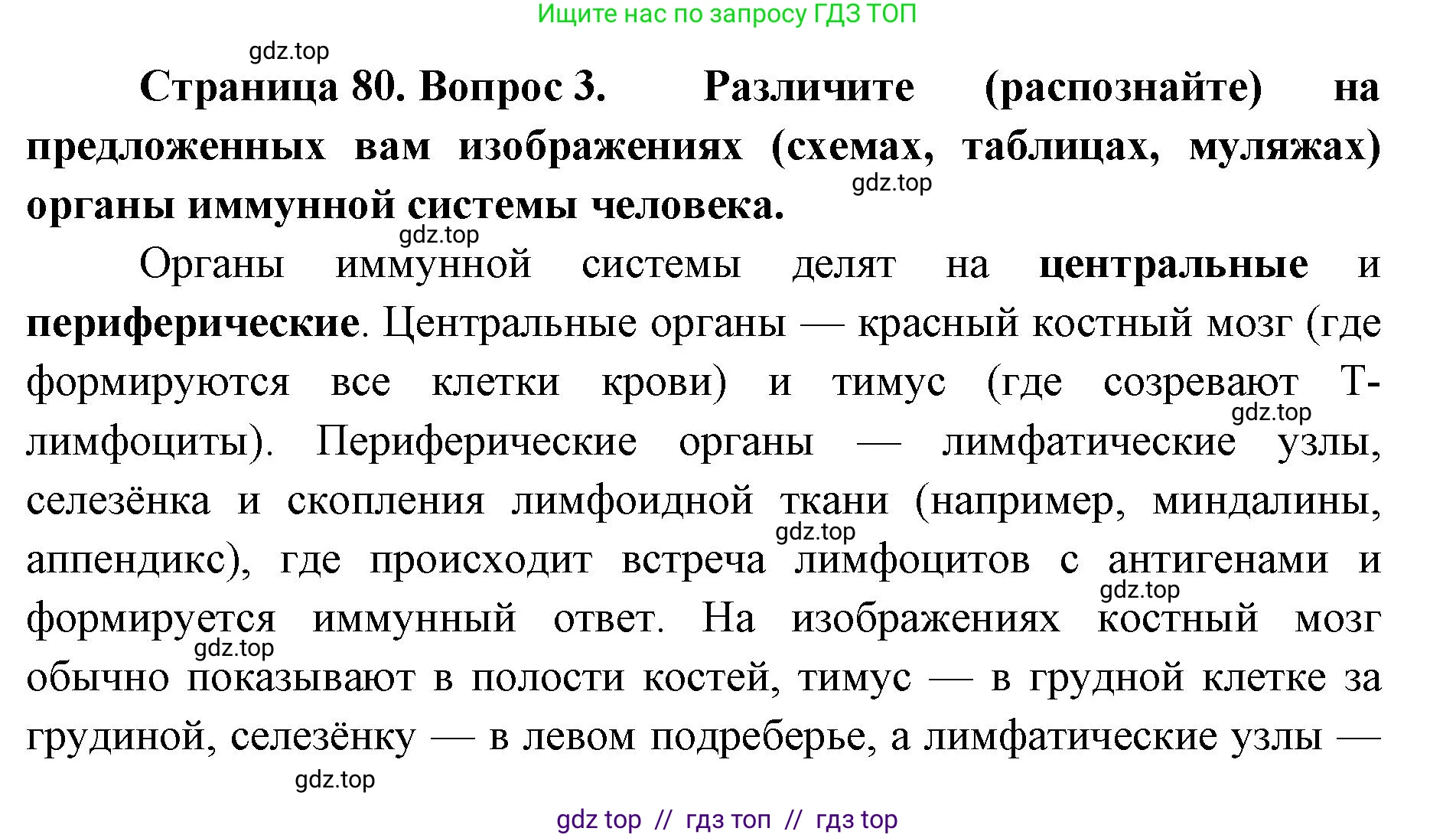 Биология, 10 класс Учебник, авторы: Пасечник Владимир Васильевич, Каменский Андрей Александрович, Рубцов Александр Михайлович, Швецов Глеб Геннадьевич, Абовян Леван Арташесович, Гапонюк Зоя Георгиевна, издательство Просвещение, Москва, 2024, коричневого цвета, Часть 2, страница 80, номер 3, Решение2