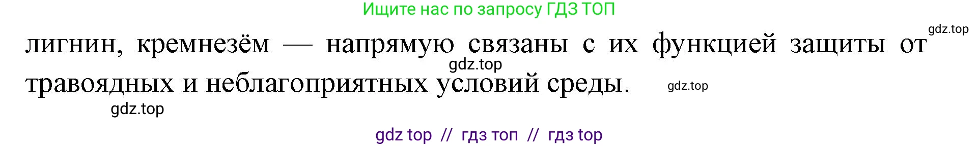 Биология, 10 класс Учебник, авторы: Пасечник Владимир Васильевич, Каменский Андрей Александрович, Рубцов Александр Михайлович, Швецов Глеб Геннадьевич, Абовян Леван Арташесович, Гапонюк Зоя Георгиевна, издательство Просвещение, Москва, 2024, коричневого цвета, Часть 2, страница 80, номер 4, Решение2 (продолжение 2)