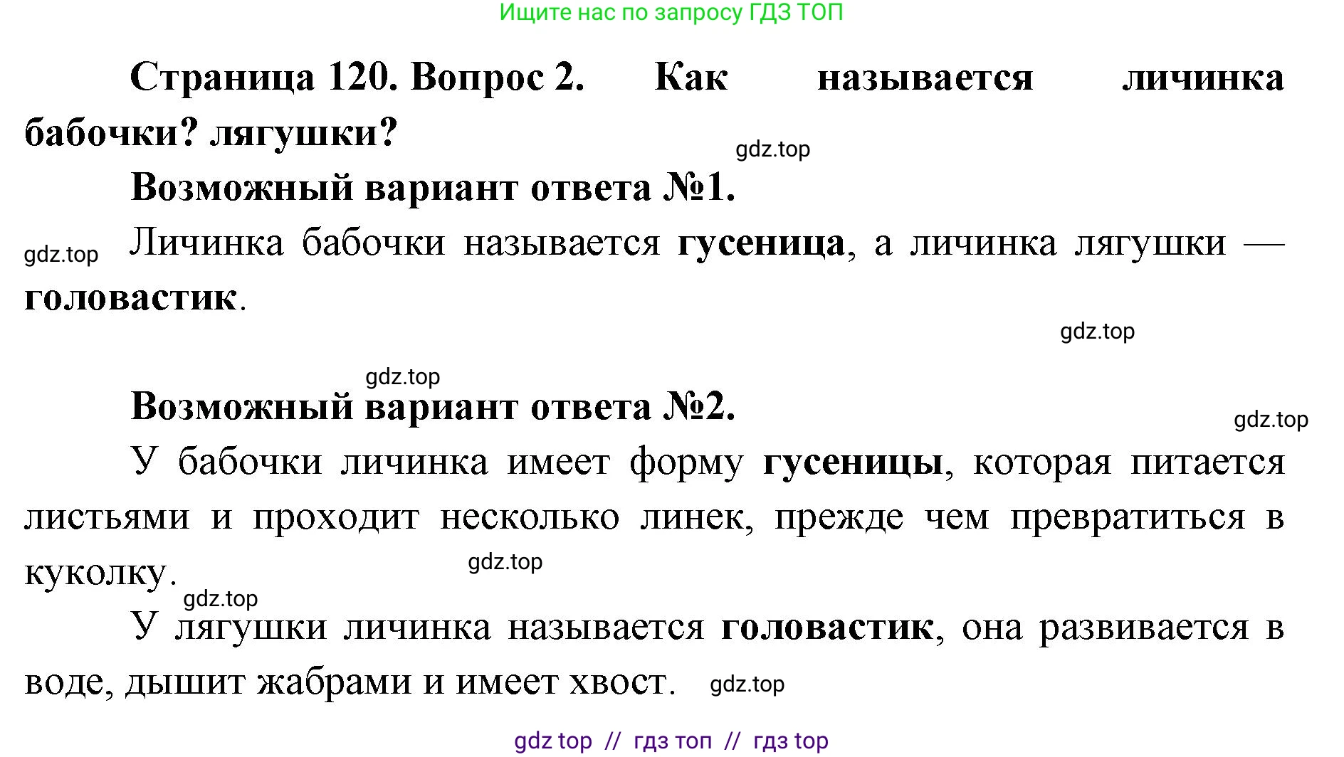Биология, 10 класс Учебник, авторы: Пасечник Владимир Васильевич, Каменский Андрей Александрович, Рубцов Александр Михайлович, Швецов Глеб Геннадьевич, Абовян Леван Арташесович, Гапонюк Зоя Георгиевна, издательство Просвещение, Москва, 2024, коричневого цвета, Часть 2, страница 120, номер 2, Решение2