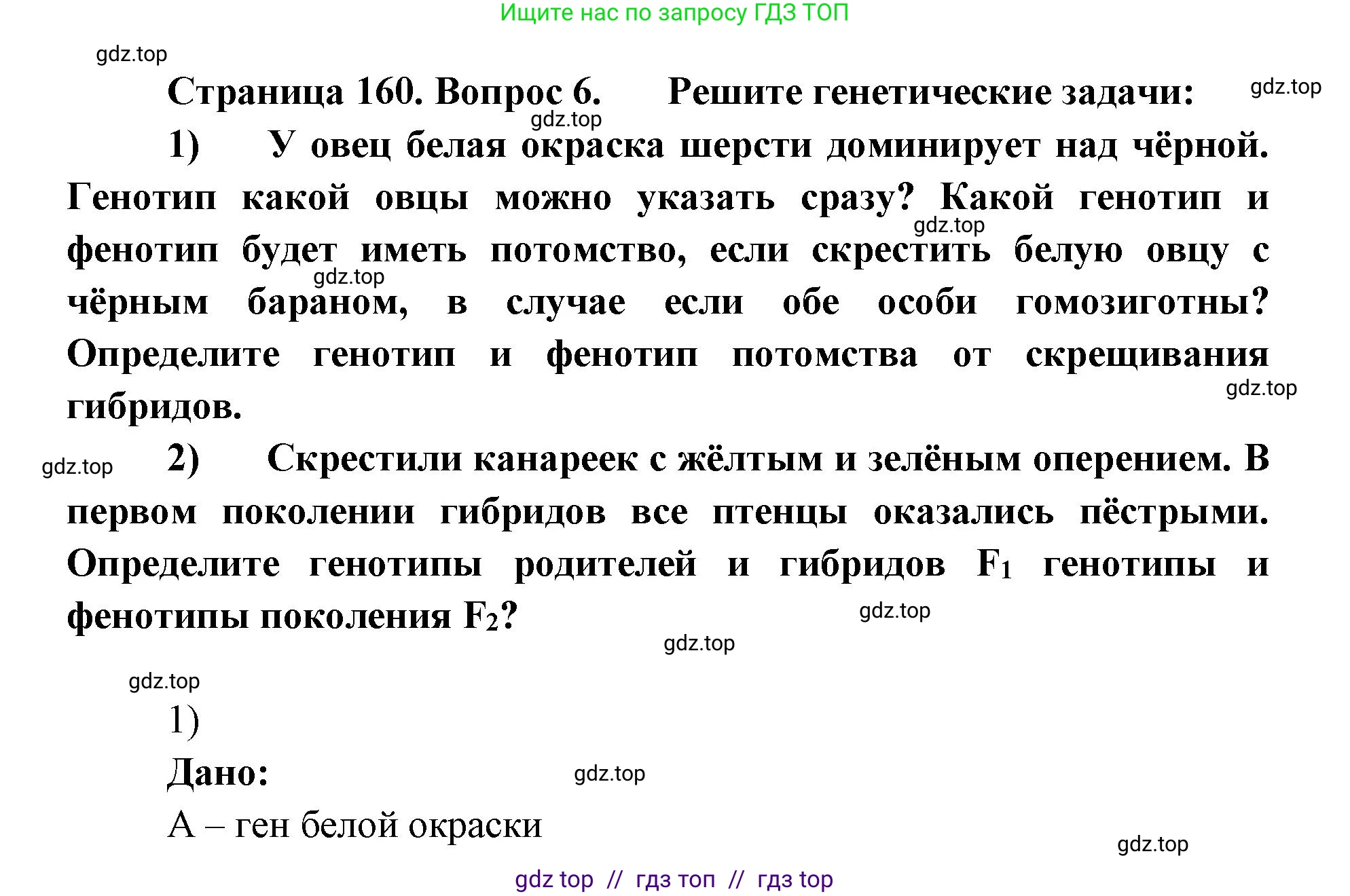Биология, 10 класс Учебник, авторы: Пасечник Владимир Васильевич, Каменский Андрей Александрович, Рубцов Александр Михайлович, Швецов Глеб Геннадьевич, Абовян Леван Арташесович, Гапонюк Зоя Георгиевна, издательство Просвещение, Москва, 2024, коричневого цвета, Часть 2, страница 160, номер 6, Решение2