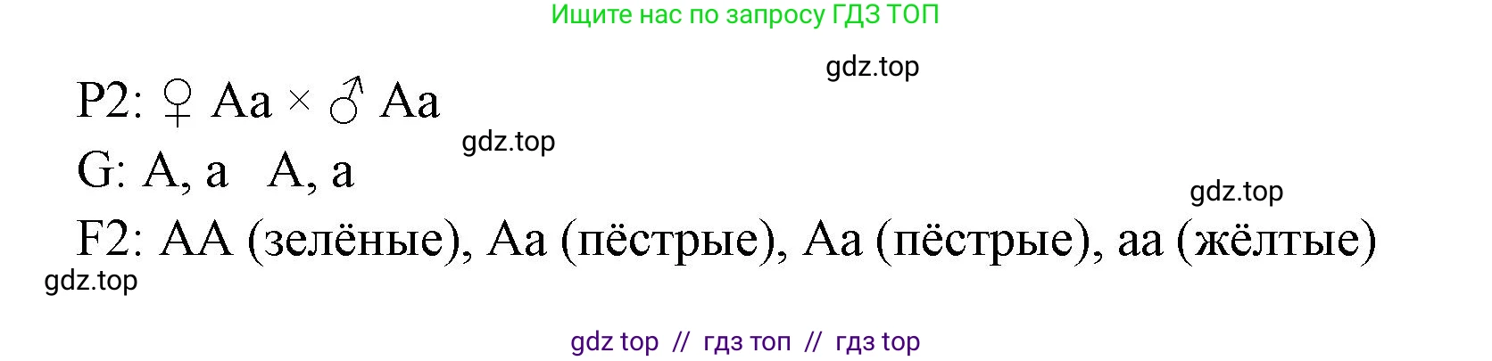 Биология, 10 класс Учебник, авторы: Пасечник Владимир Васильевич, Каменский Андрей Александрович, Рубцов Александр Михайлович, Швецов Глеб Геннадьевич, Абовян Леван Арташесович, Гапонюк Зоя Георгиевна, издательство Просвещение, Москва, 2024, коричневого цвета, Часть 2, страница 160, номер 6, Решение2 (продолжение 3)