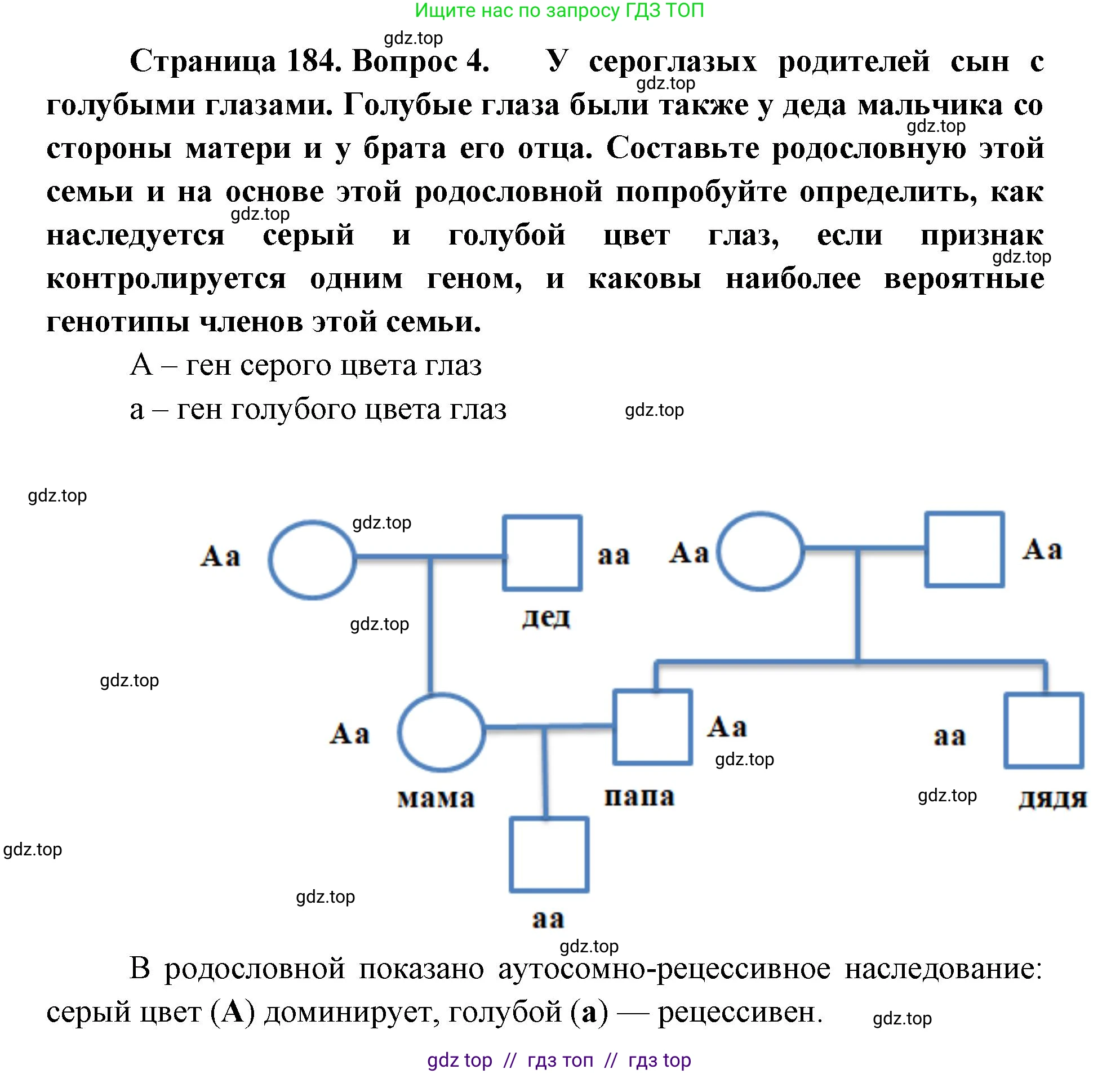 Биология, 10 класс Учебник, авторы: Пасечник Владимир Васильевич, Каменский Андрей Александрович, Рубцов Александр Михайлович, Швецов Глеб Геннадьевич, Абовян Леван Арташесович, Гапонюк Зоя Георгиевна, издательство Просвещение, Москва, 2024, коричневого цвета, Часть 2, страница 184, номер 4, Решение2