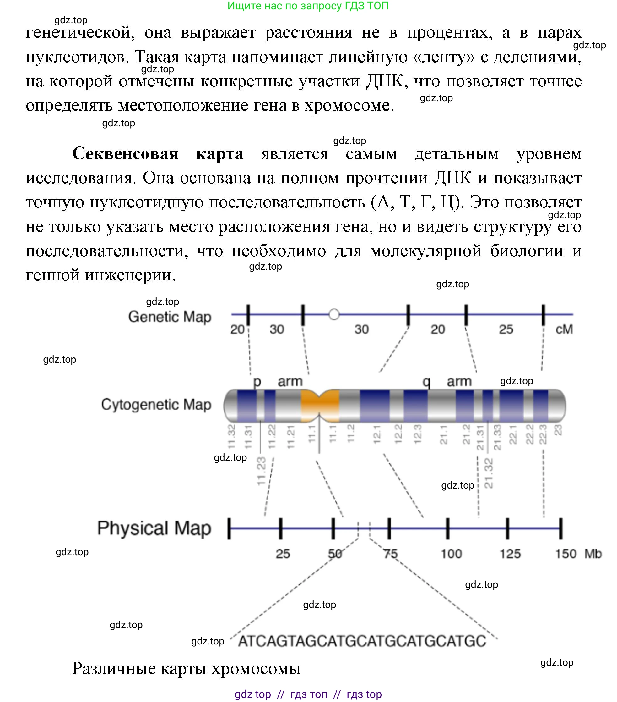 Биология, 10 класс Учебник, авторы: Пасечник Владимир Васильевич, Каменский Андрей Александрович, Рубцов Александр Михайлович, Швецов Глеб Геннадьевич, Абовян Леван Арташесович, Гапонюк Зоя Георгиевна, издательство Просвещение, Москва, 2024, коричневого цвета, Часть 2, страница 224, номер 4, Решение2 (продолжение 2)