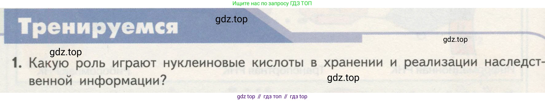 ГДЗ Биология, 10 класс Учебник, авторы: Пасечник Владимир Васильевич, Каменский Андрей Александрович, Рубцов Александр Михайлович, Швецов Глеб Геннадьевич, Гапонюк Зоя Георгиевна, издательство Просвещение, Москва, 2018, зелёного цвета, страница 90, номер 1, Условие