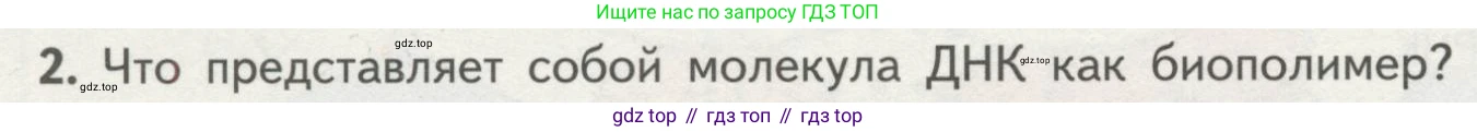 ГДЗ Биология, 10 класс Учебник, авторы: Пасечник Владимир Васильевич, Каменский Андрей Александрович, Рубцов Александр Михайлович, Швецов Глеб Геннадьевич, Гапонюк Зоя Георгиевна, издательство Просвещение, Москва, 2018, зелёного цвета, страница 90, номер 2, Условие