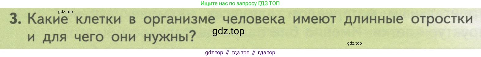 ГДЗ Биология, 10 класс Учебник, авторы: Пасечник Владимир Васильевич, Каменский Андрей Александрович, Рубцов Александр Михайлович, Швецов Глеб Геннадьевич, Гапонюк Зоя Георгиевна, издательство Просвещение, Москва, 2018, зелёного цвета, страница 110, номер 3, Условие