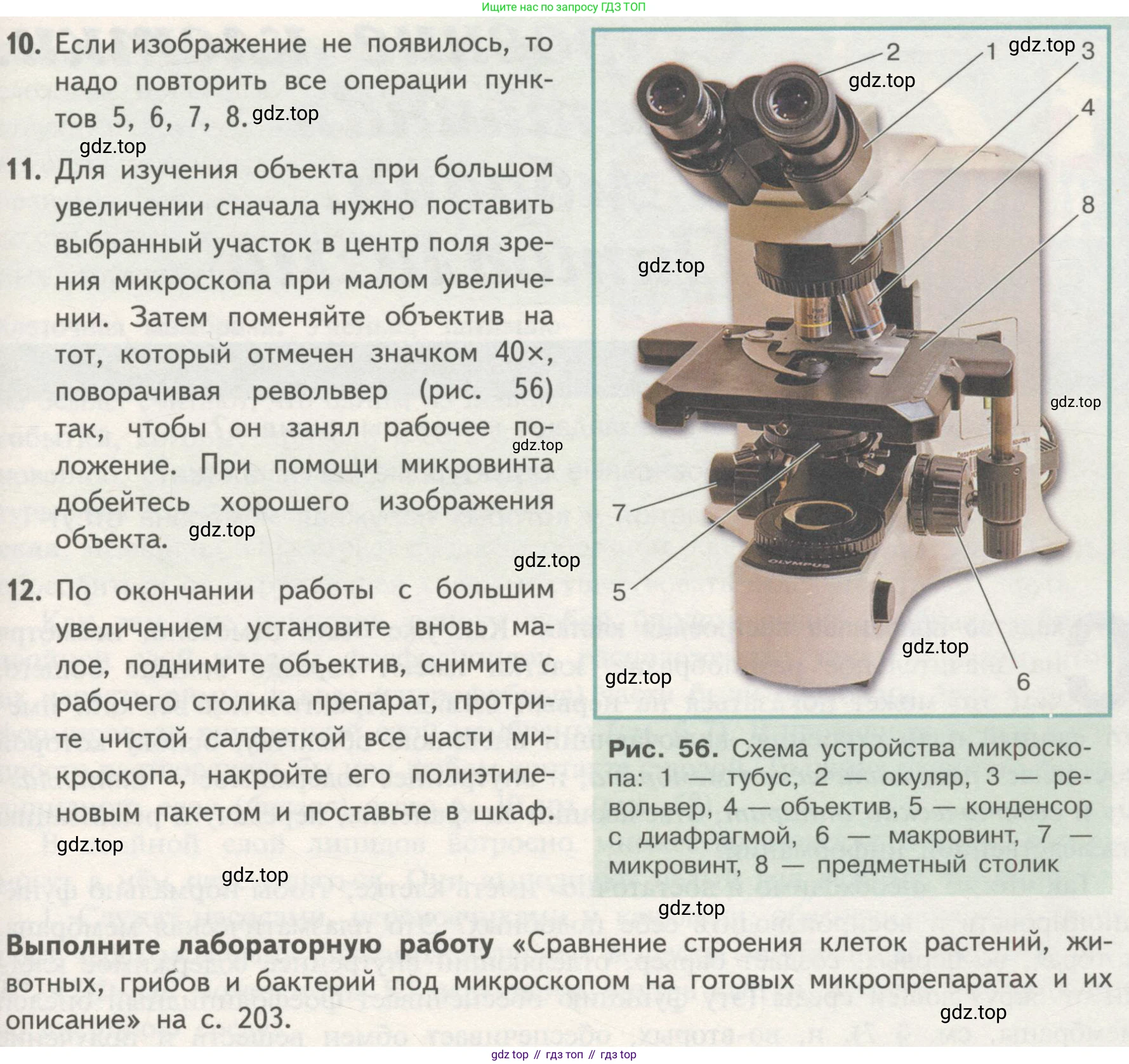 ГДЗ Биология, 10 класс Учебник, авторы: Пасечник Владимир Васильевич, Каменский Андрей Александрович, Рубцов Александр Михайлович, Швецов Глеб Геннадьевич, Гапонюк Зоя Георгиевна, издательство Просвещение, Москва, 2018, зелёного цвета, страница 116, Условие (продолжение 2)