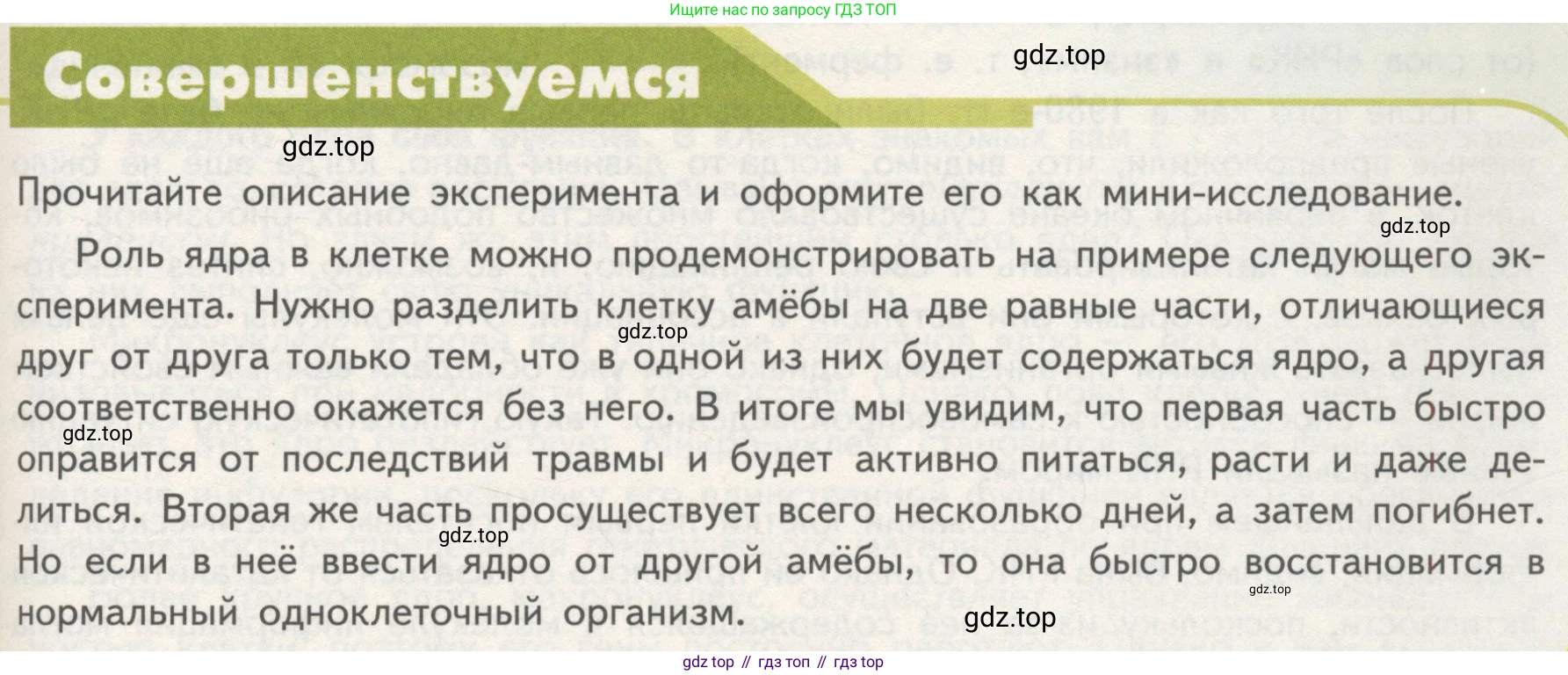ГДЗ Биология, 10 класс Учебник, авторы: Пасечник Владимир Васильевич, Каменский Андрей Александрович, Рубцов Александр Михайлович, Швецов Глеб Геннадьевич, Гапонюк Зоя Георгиевна, издательство Просвещение, Москва, 2018, зелёного цвета, страница 129, Условие
