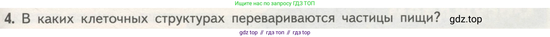 ГДЗ Биология, 10 класс Учебник, авторы: Пасечник Владимир Васильевич, Каменский Андрей Александрович, Рубцов Александр Михайлович, Швецов Глеб Геннадьевич, Гапонюк Зоя Георгиевна, издательство Просвещение, Москва, 2018, зелёного цвета, страница 135, номер 4, Условие
