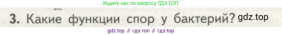 ГДЗ Биология, 10 класс Учебник, авторы: Пасечник Владимир Васильевич, Каменский Андрей Александрович, Рубцов Александр Михайлович, Швецов Глеб Геннадьевич, Гапонюк Зоя Георгиевна, издательство Просвещение, Москва, 2018, зелёного цвета, страница 146, номер 3, Условие
