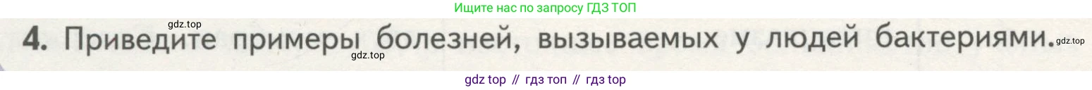 ГДЗ Биология, 10 класс Учебник, авторы: Пасечник Владимир Васильевич, Каменский Андрей Александрович, Рубцов Александр Михайлович, Швецов Глеб Геннадьевич, Гапонюк Зоя Георгиевна, издательство Просвещение, Москва, 2018, зелёного цвета, страница 146, номер 4, Условие