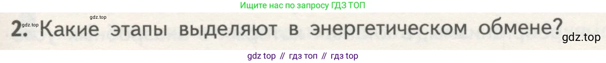 ГДЗ Биология, 10 класс Учебник, авторы: Пасечник Владимир Васильевич, Каменский Андрей Александрович, Рубцов Александр Михайлович, Швецов Глеб Геннадьевич, Гапонюк Зоя Георгиевна, издательство Просвещение, Москва, 2018, зелёного цвета, страница 159, номер 2, Условие