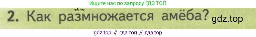 ГДЗ Биология, 10 класс Учебник, авторы: Пасечник Владимир Васильевич, Каменский Андрей Александрович, Рубцов Александр Михайлович, Швецов Глеб Геннадьевич, Гапонюк Зоя Георгиевна, издательство Просвещение, Москва, 2018, зелёного цвета, страница 183, номер 2, Условие