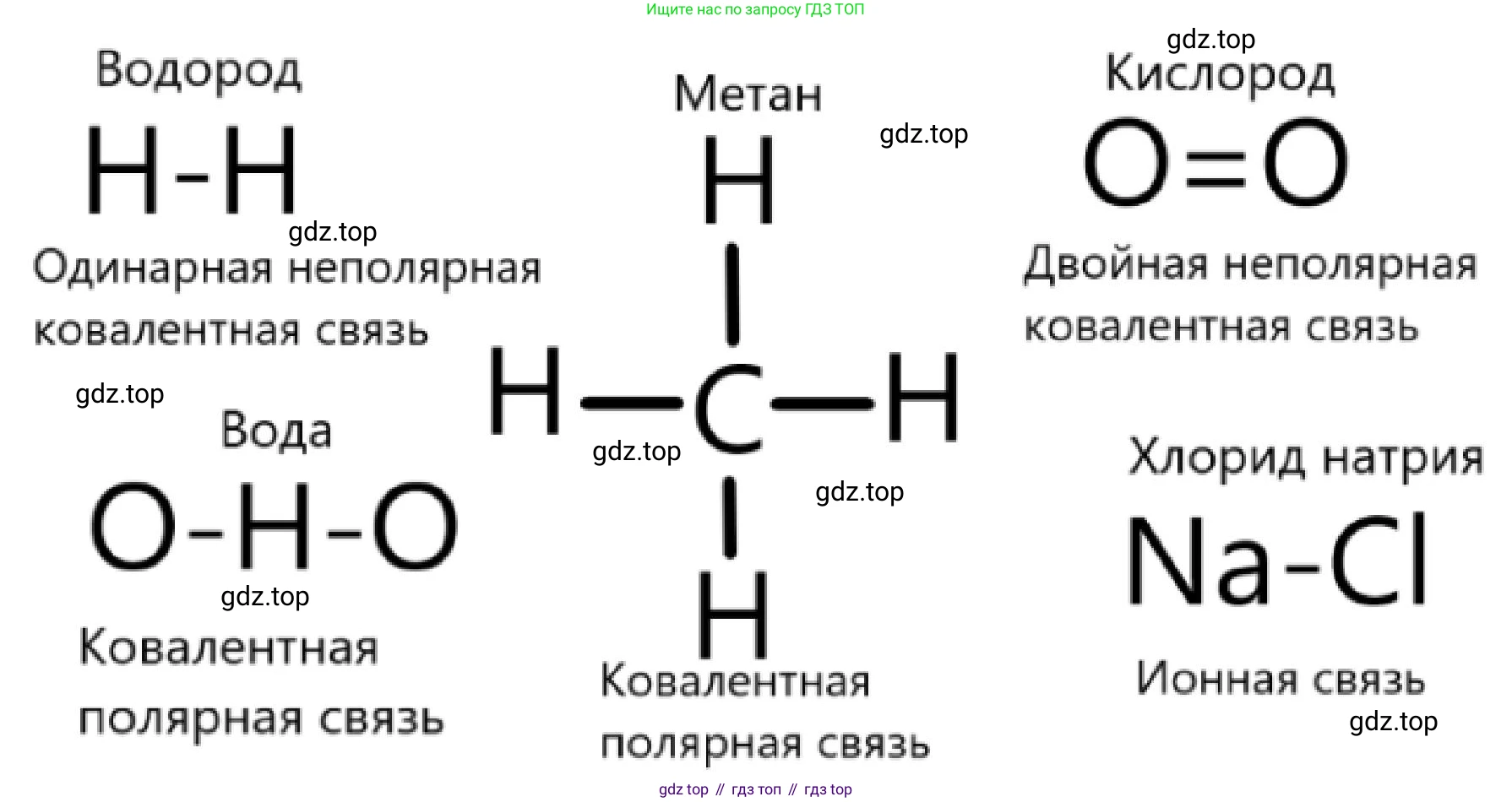 ГДЗ Биология, 10 класс Учебник, авторы: Пасечник Владимир Васильевич, Каменский Андрей Александрович, Рубцов Александр Михайлович, Швецов Глеб Геннадьевич, Гапонюк Зоя Георгиевна, издательство Просвещение, Москва, 2018, зелёного цвета, страница 47, номер 2, Решение (продолжение 2)