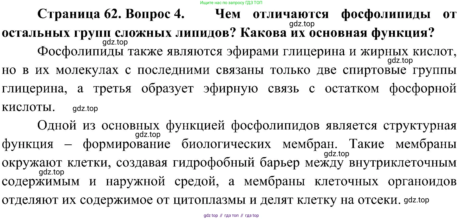 ГДЗ Биология, 10 класс Учебник, авторы: Пасечник Владимир Васильевич, Каменский Андрей Александрович, Рубцов Александр Михайлович, Швецов Глеб Геннадьевич, Гапонюк Зоя Георгиевна, издательство Просвещение, Москва, 2018, зелёного цвета, страница 62, номер 4, Решение