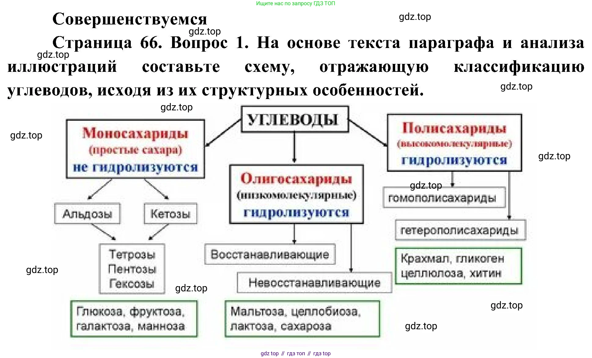 ГДЗ Биология, 10 класс Учебник, авторы: Пасечник Владимир Васильевич, Каменский Андрей Александрович, Рубцов Александр Михайлович, Швецов Глеб Геннадьевич, Гапонюк Зоя Георгиевна, издательство Просвещение, Москва, 2018, зелёного цвета, страница 66, номер 1, Решение