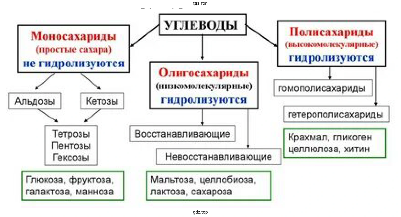 Рисунок. Схема. Классификация углеводов.