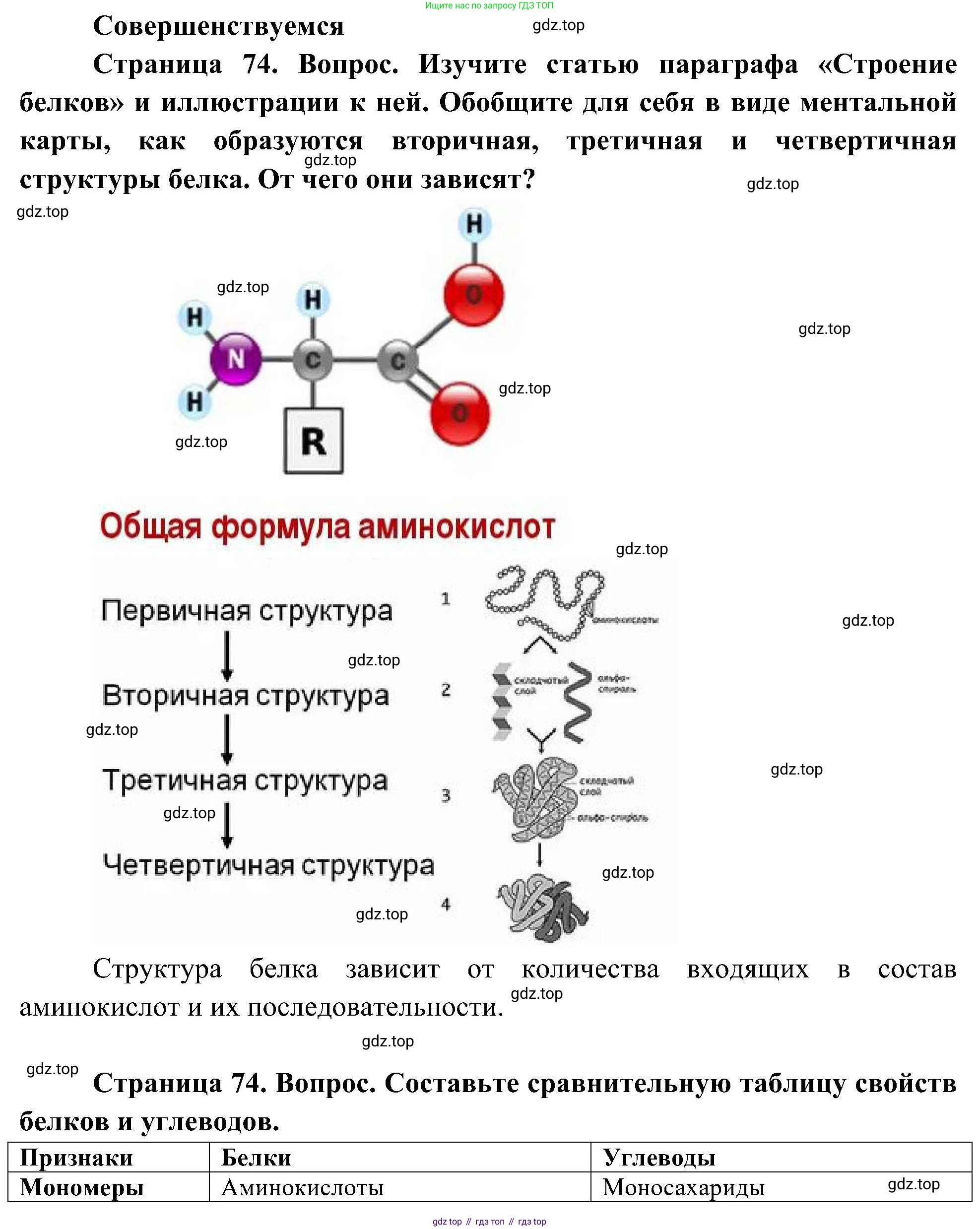 ГДЗ Биология, 10 класс Учебник, авторы: Пасечник Владимир Васильевич, Каменский Андрей Александрович, Рубцов Александр Михайлович, Швецов Глеб Геннадьевич, Гапонюк Зоя Георгиевна, издательство Просвещение, Москва, 2018, зелёного цвета, страница 74, Решение