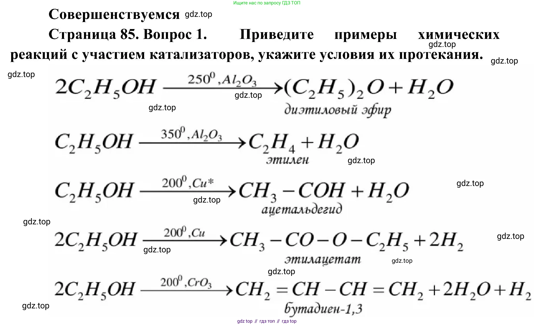 ГДЗ Биология, 10 класс Учебник, авторы: Пасечник Владимир Васильевич, Каменский Андрей Александрович, Рубцов Александр Михайлович, Швецов Глеб Геннадьевич, Гапонюк Зоя Георгиевна, издательство Просвещение, Москва, 2018, зелёного цвета, страница 85, номер 1, Решение