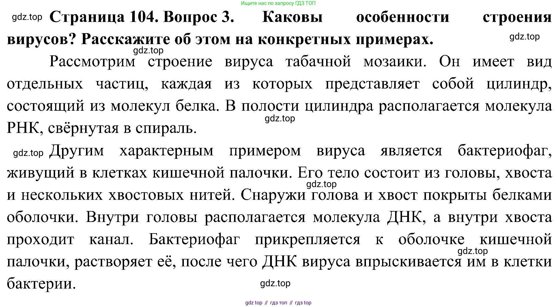 ГДЗ Биология, 10 класс Учебник, авторы: Пасечник Владимир Васильевич, Каменский Андрей Александрович, Рубцов Александр Михайлович, Швецов Глеб Геннадьевич, Гапонюк Зоя Георгиевна, издательство Просвещение, Москва, 2018, зелёного цвета, страница 104, номер 3, Решение