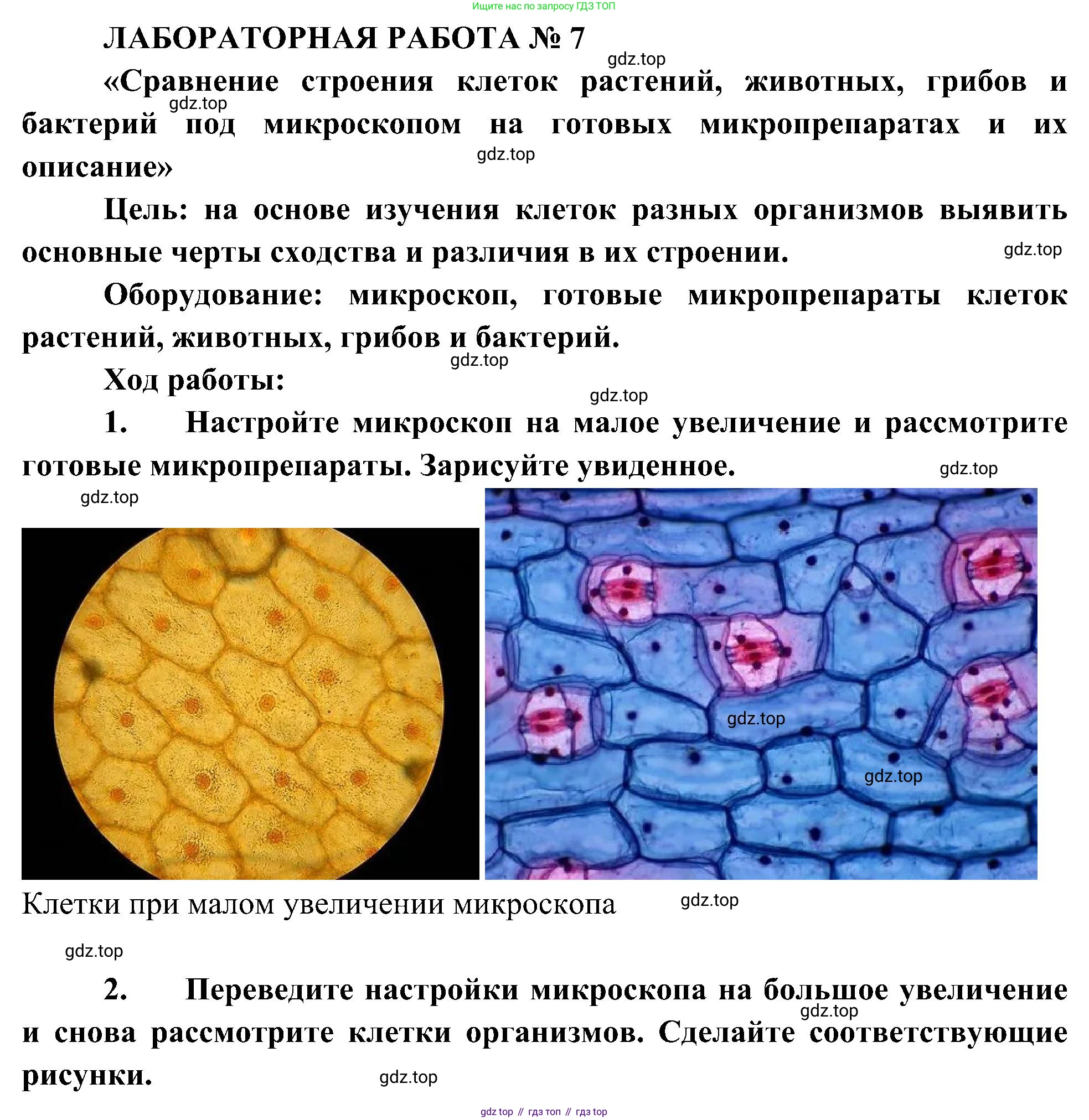 ГДЗ Биология, 10 класс Учебник, авторы: Пасечник Владимир Васильевич, Каменский Андрей Александрович, Рубцов Александр Михайлович, Швецов Глеб Геннадьевич, Гапонюк Зоя Георгиевна, издательство Просвещение, Москва, 2018, зелёного цвета, страница 116, Решение