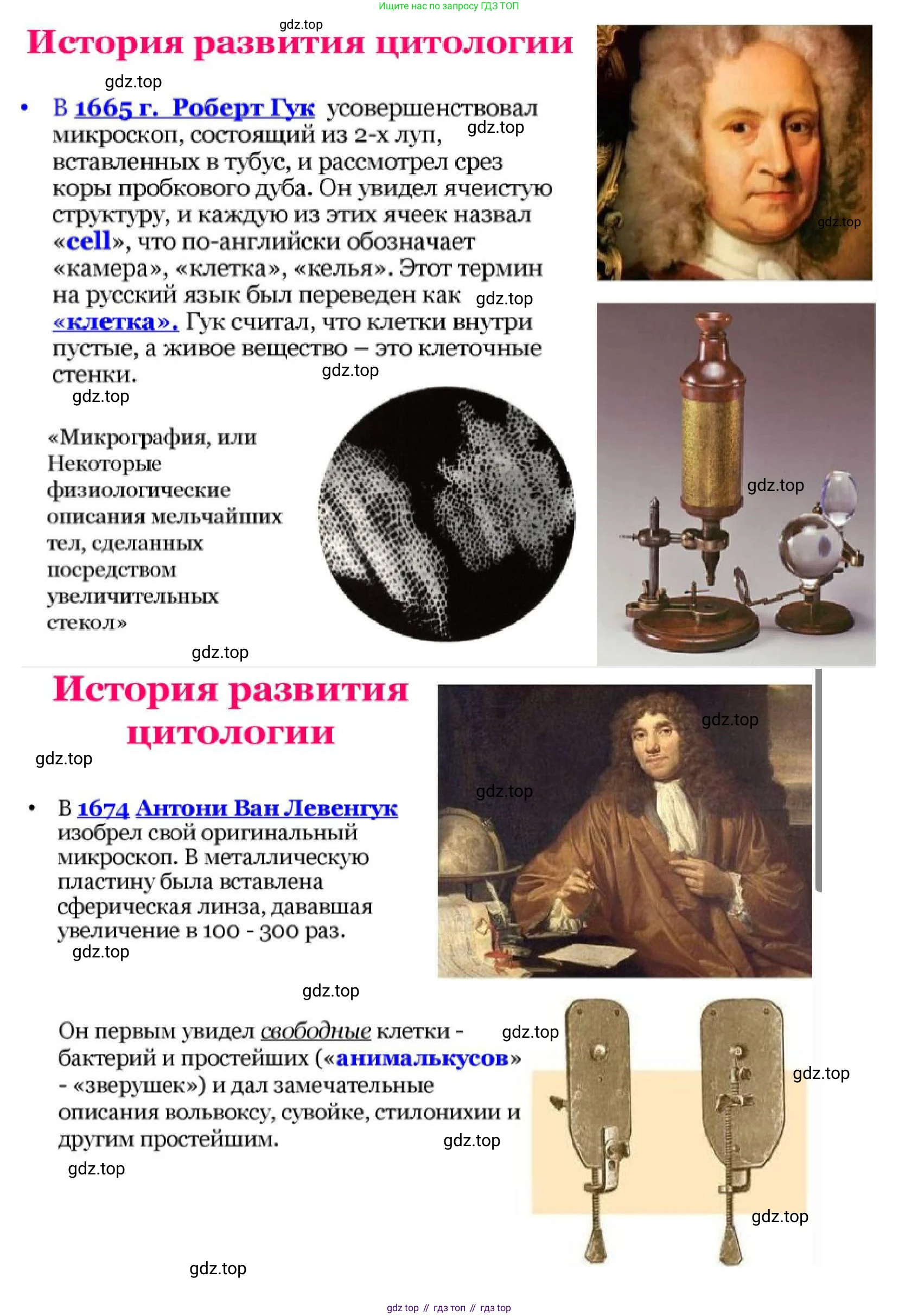 ГДЗ Биология, 10 класс Учебник, авторы: Пасечник Владимир Васильевич, Каменский Андрей Александрович, Рубцов Александр Михайлович, Швецов Глеб Геннадьевич, Гапонюк Зоя Георгиевна, издательство Просвещение, Москва, 2018, зелёного цвета, страница 114, номер 4, Решение