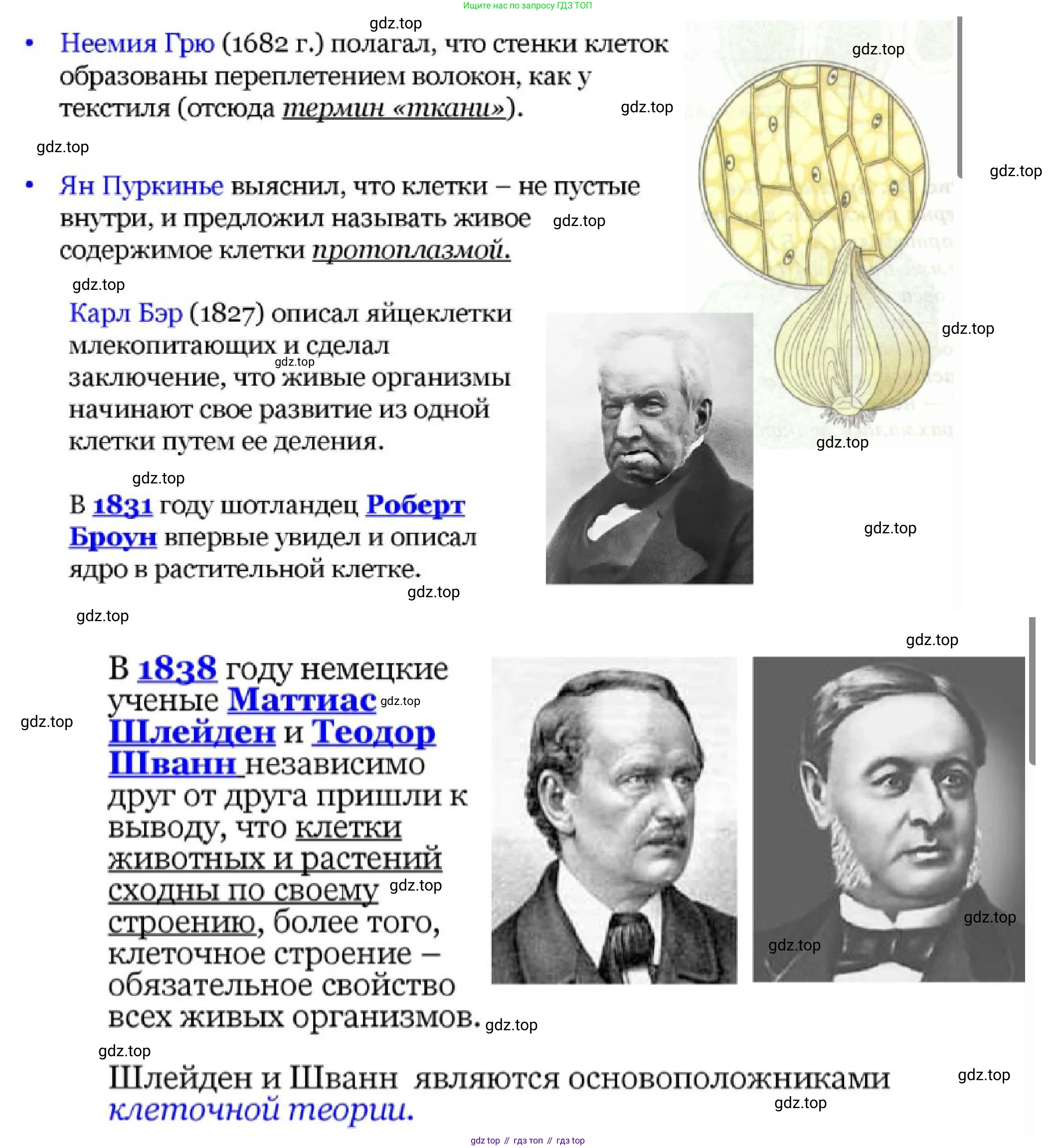 ГДЗ Биология, 10 класс Учебник, авторы: Пасечник Владимир Васильевич, Каменский Андрей Александрович, Рубцов Александр Михайлович, Швецов Глеб Геннадьевич, Гапонюк Зоя Георгиевна, издательство Просвещение, Москва, 2018, зелёного цвета, страница 114, номер 4, Решение (продолжение 2)