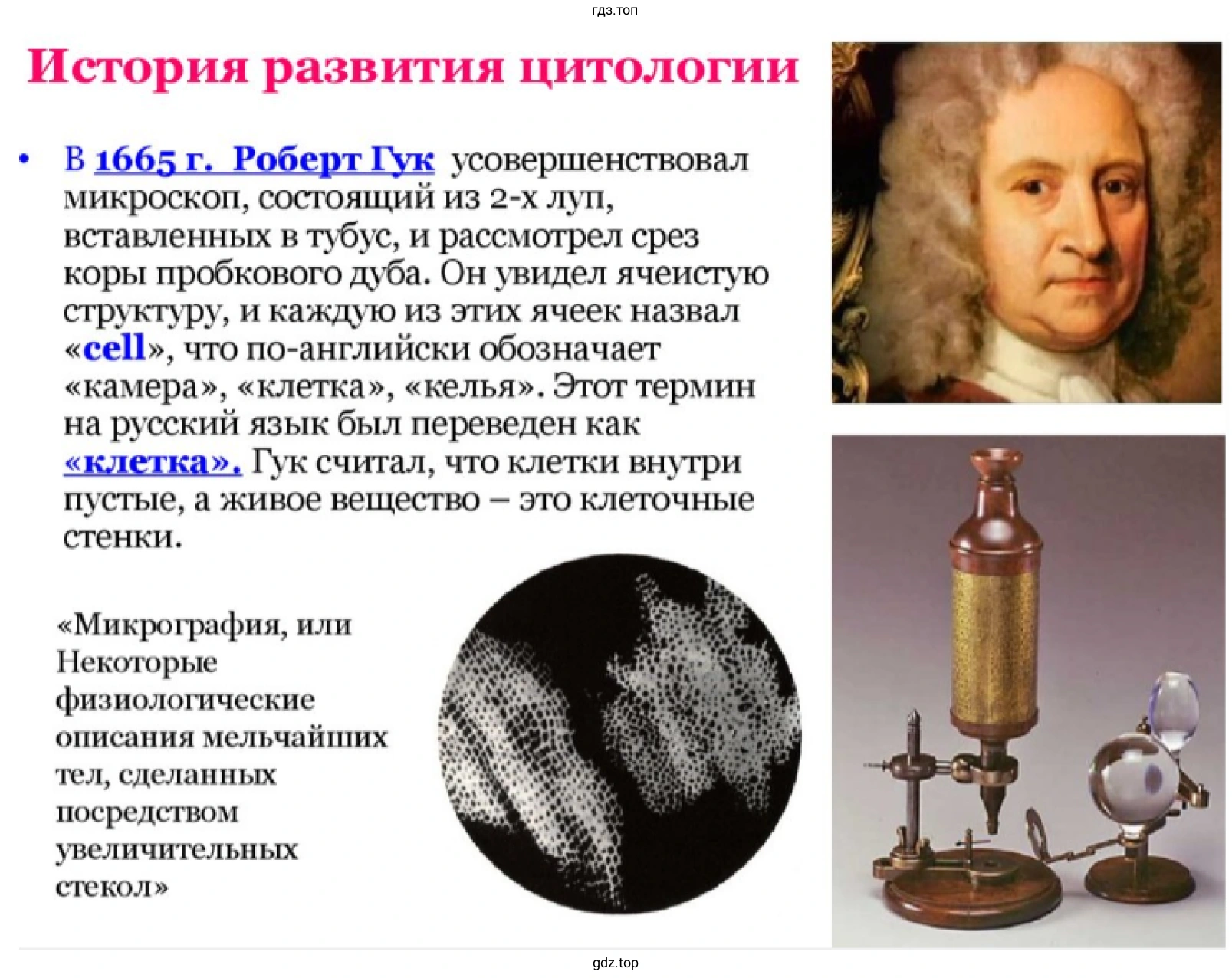 Презентация - слайд 1. История развития цитологии
