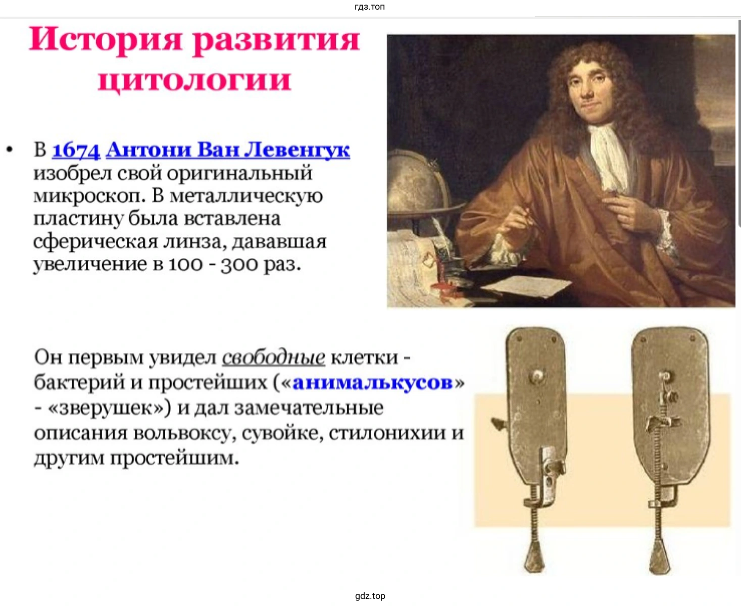 Презентация - слайд 2. История развития цитологии
