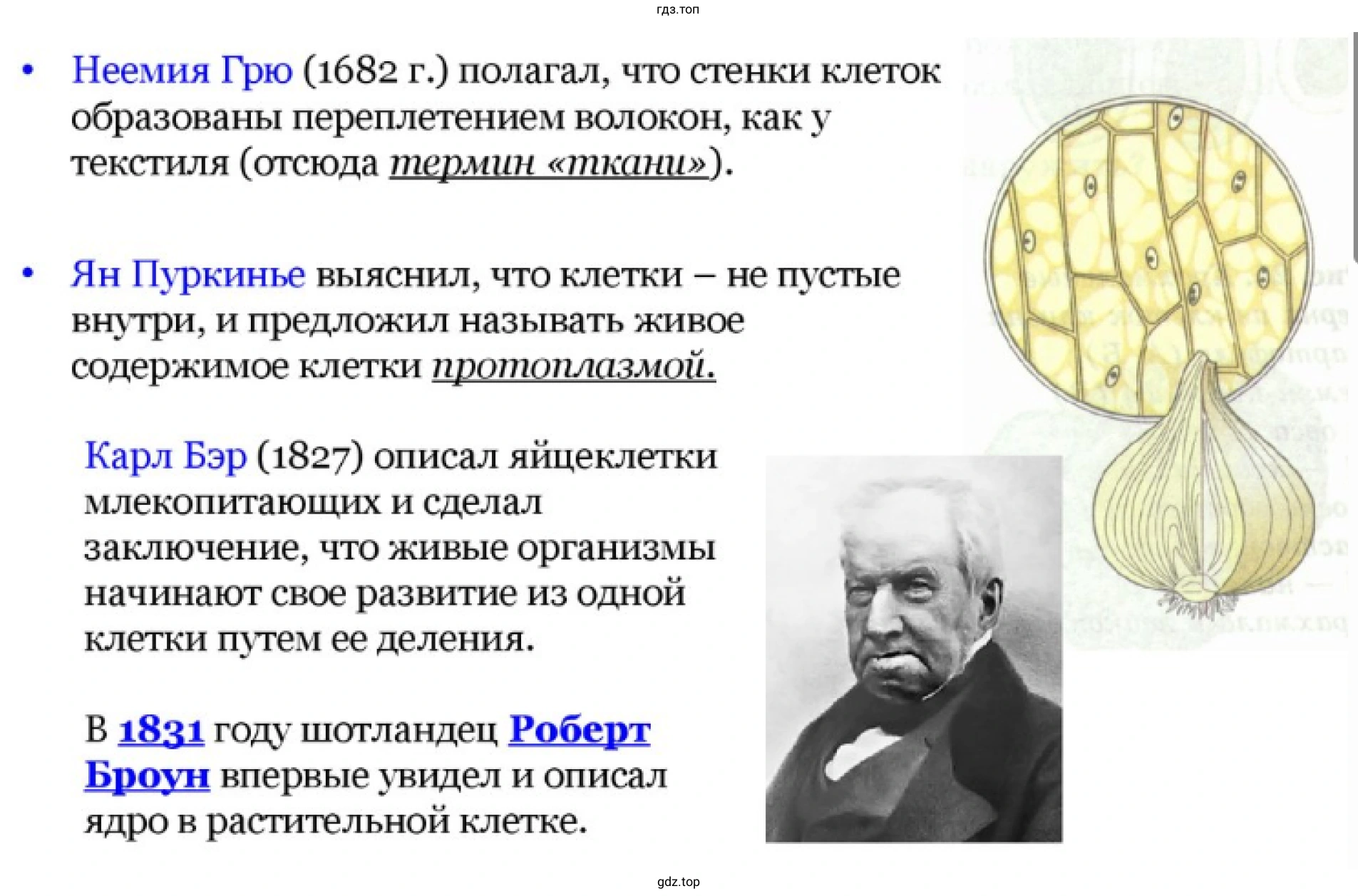 Презентация - слайд 3. История развития цитологии