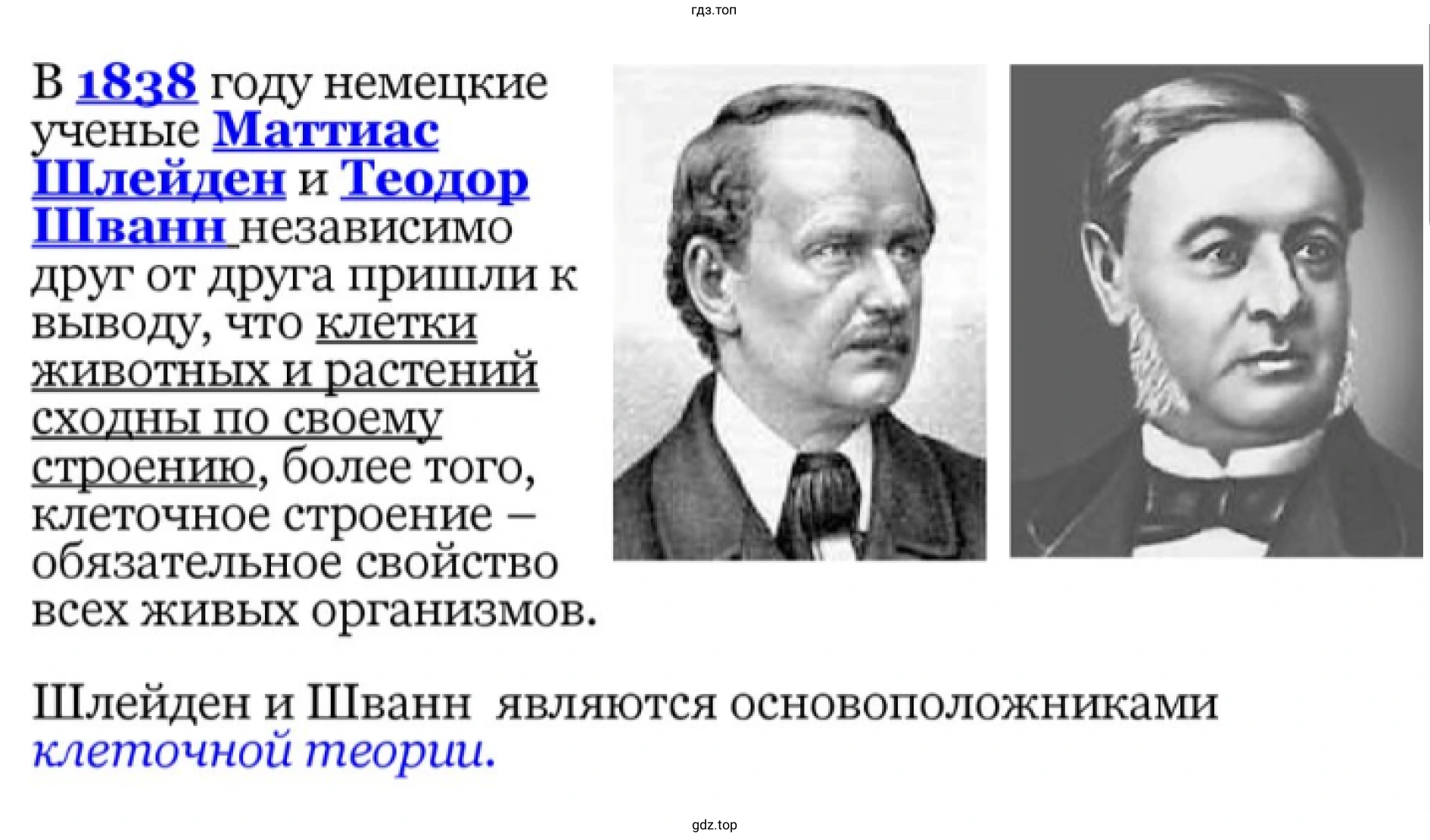 Презентация - слайд 4. История развития цитологии