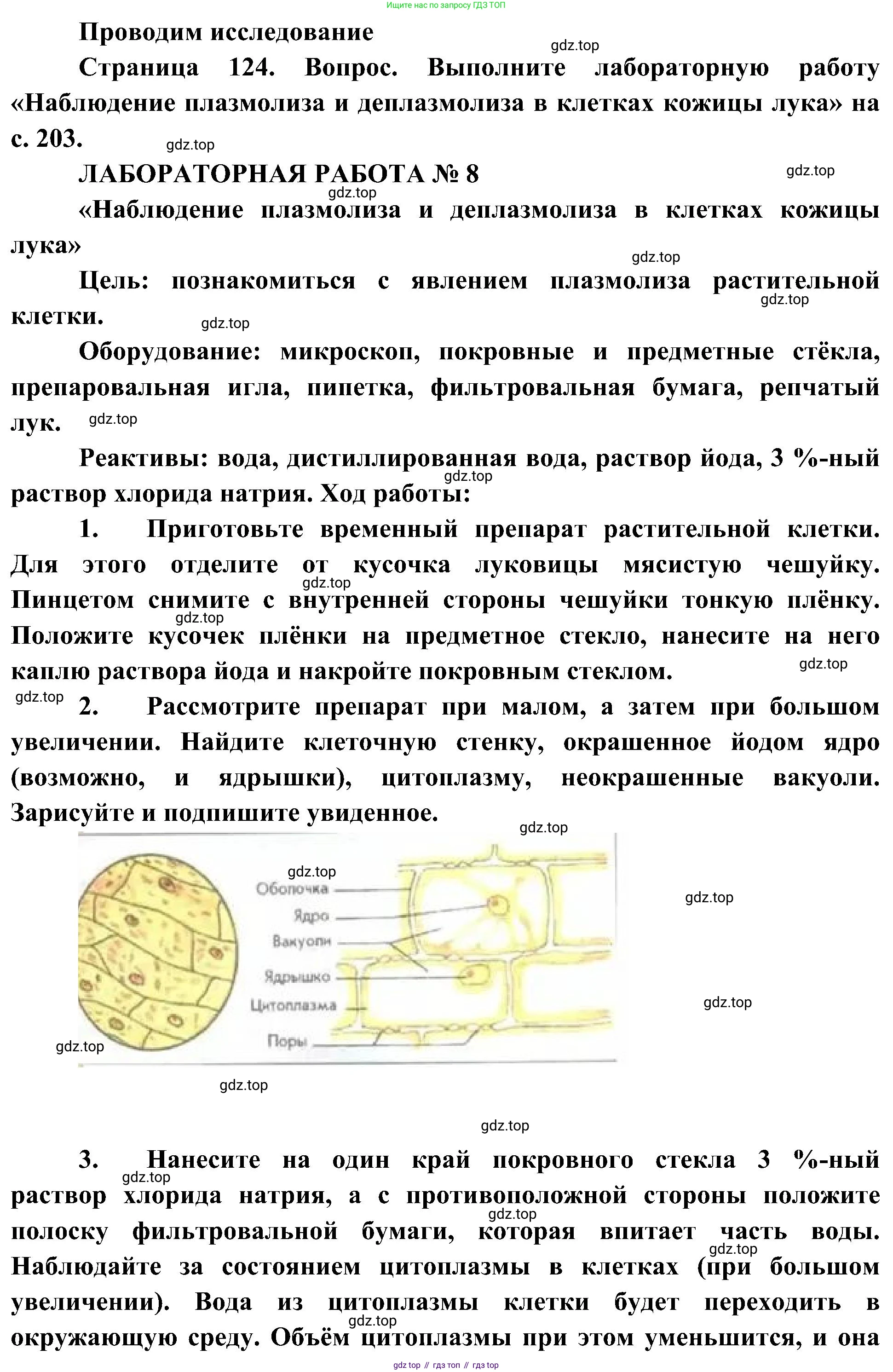 ГДЗ Биология, 10 класс Учебник, авторы: Пасечник Владимир Васильевич, Каменский Андрей Александрович, Рубцов Александр Михайлович, Швецов Глеб Геннадьевич, Гапонюк Зоя Георгиевна, издательство Просвещение, Москва, 2018, зелёного цвета, страница 124, Решение