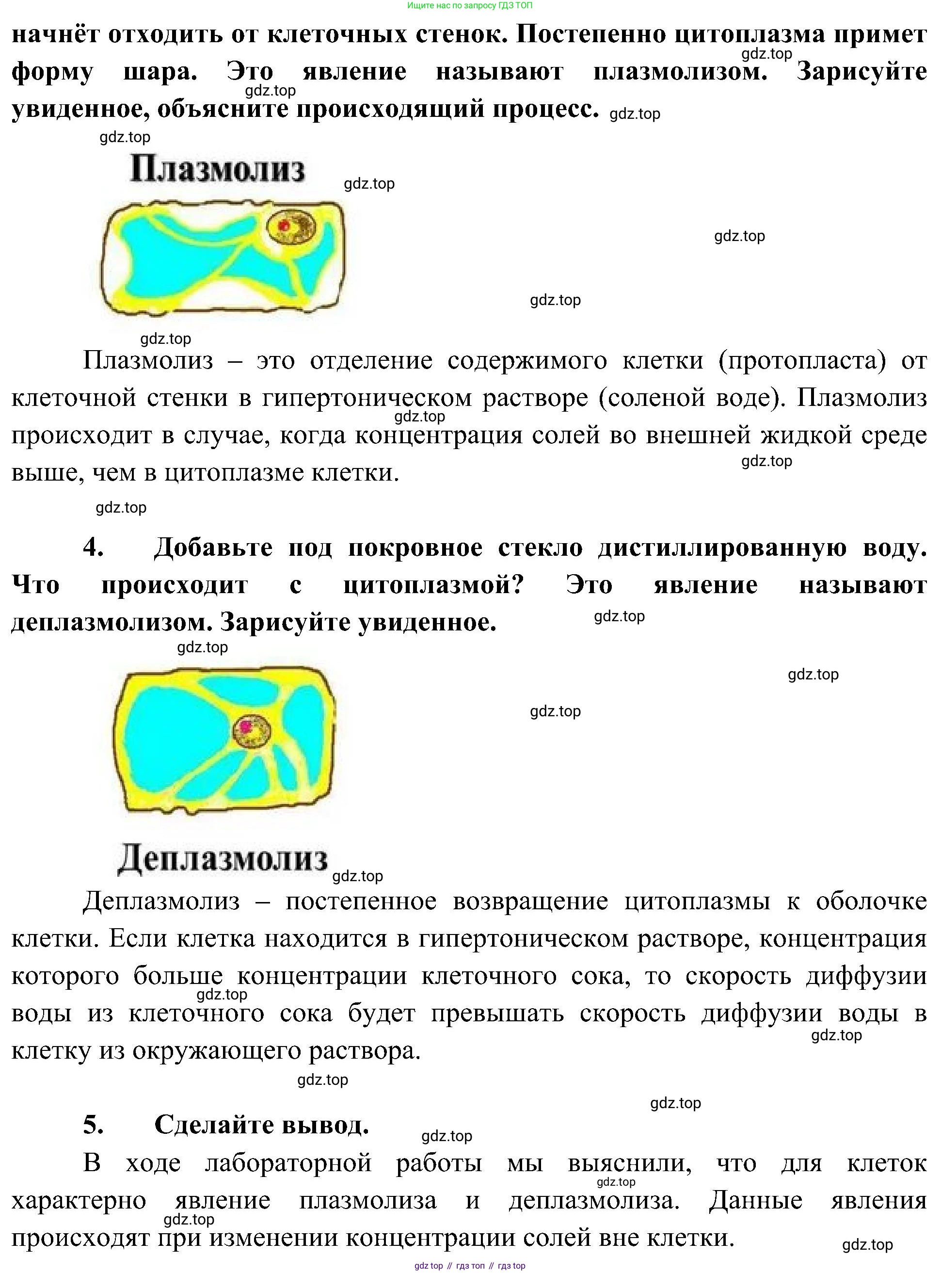 ГДЗ Биология, 10 класс Учебник, авторы: Пасечник Владимир Васильевич, Каменский Андрей Александрович, Рубцов Александр Михайлович, Швецов Глеб Геннадьевич, Гапонюк Зоя Георгиевна, издательство Просвещение, Москва, 2018, зелёного цвета, страница 124, Решение (продолжение 2)