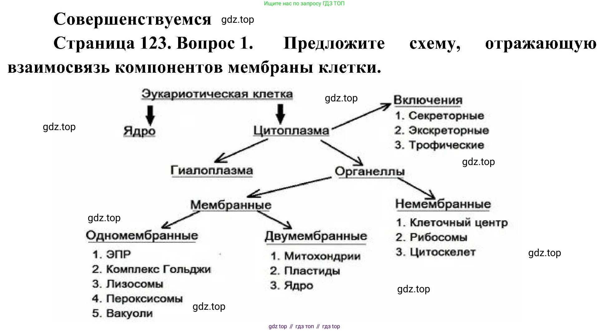 ГДЗ Биология, 10 класс Учебник, авторы: Пасечник Владимир Васильевич, Каменский Андрей Александрович, Рубцов Александр Михайлович, Швецов Глеб Геннадьевич, Гапонюк Зоя Георгиевна, издательство Просвещение, Москва, 2018, зелёного цвета, страница 123, номер 1, Решение