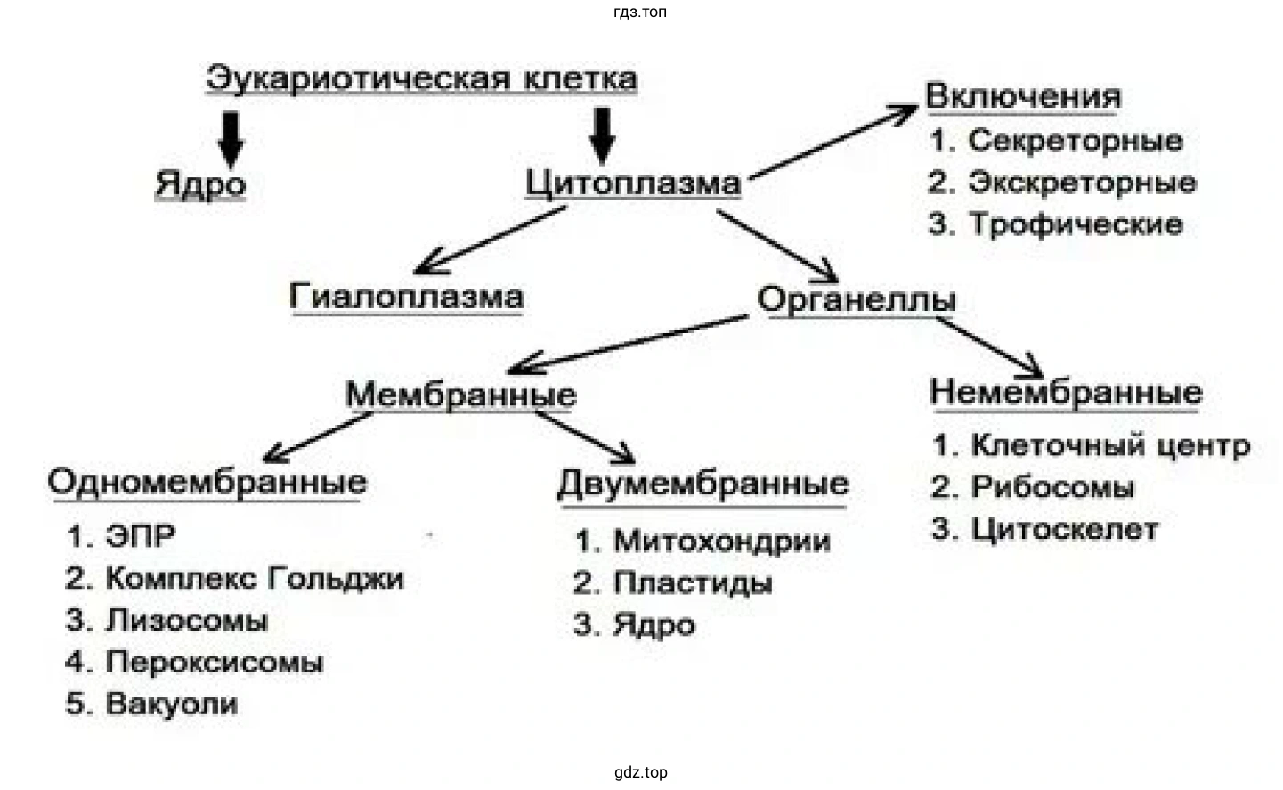 Рисунок. Схема отражающая взаимосвязь компонентов мембраны клетки.