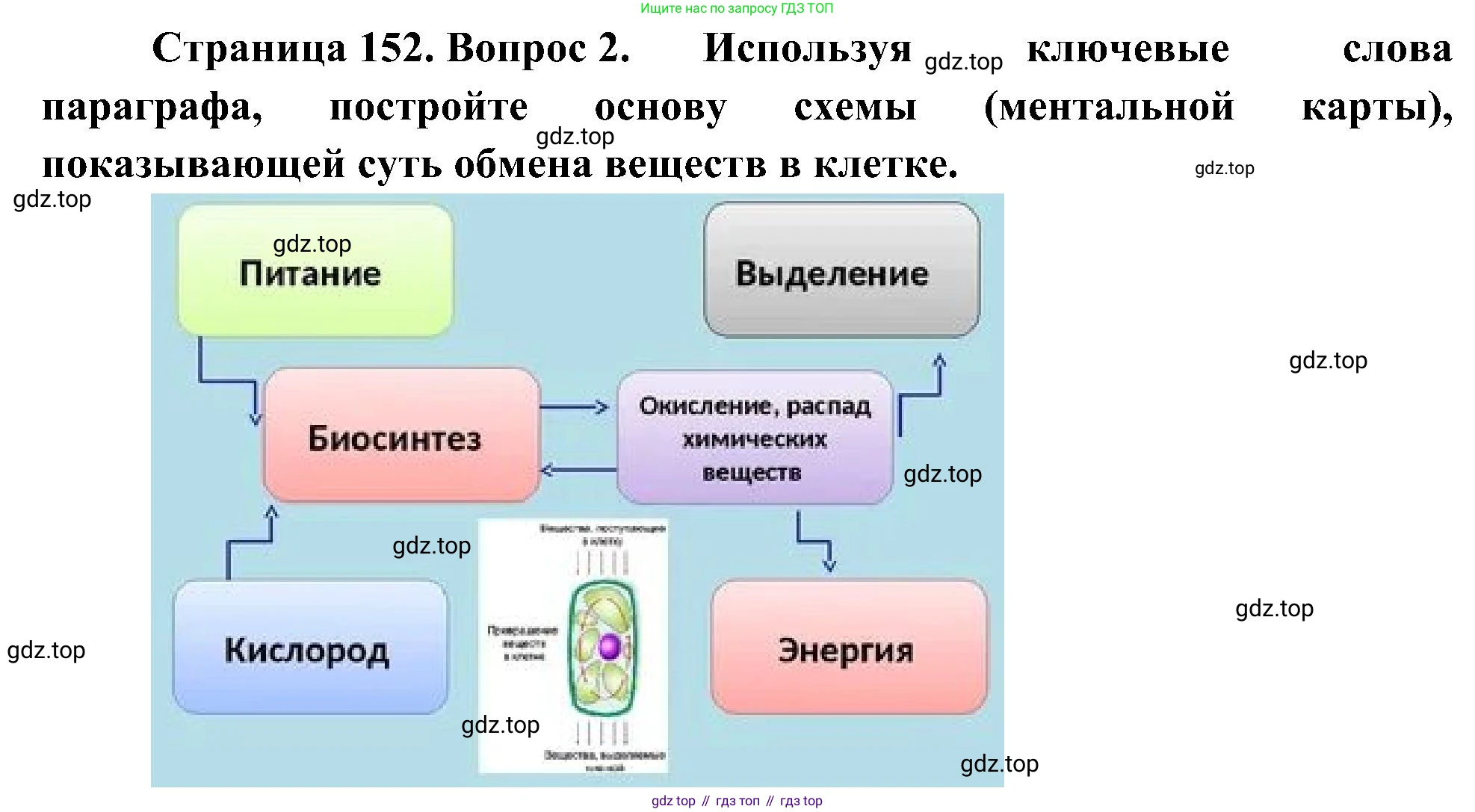 ГДЗ Биология, 10 класс Учебник, авторы: Пасечник Владимир Васильевич, Каменский Андрей Александрович, Рубцов Александр Михайлович, Швецов Глеб Геннадьевич, Гапонюк Зоя Георгиевна, издательство Просвещение, Москва, 2018, зелёного цвета, страница 152, номер 2, Решение